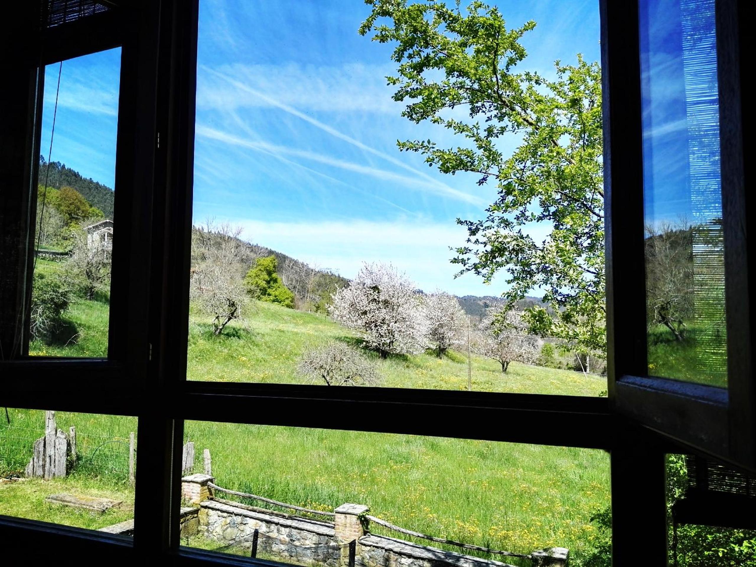 Finca Artienza