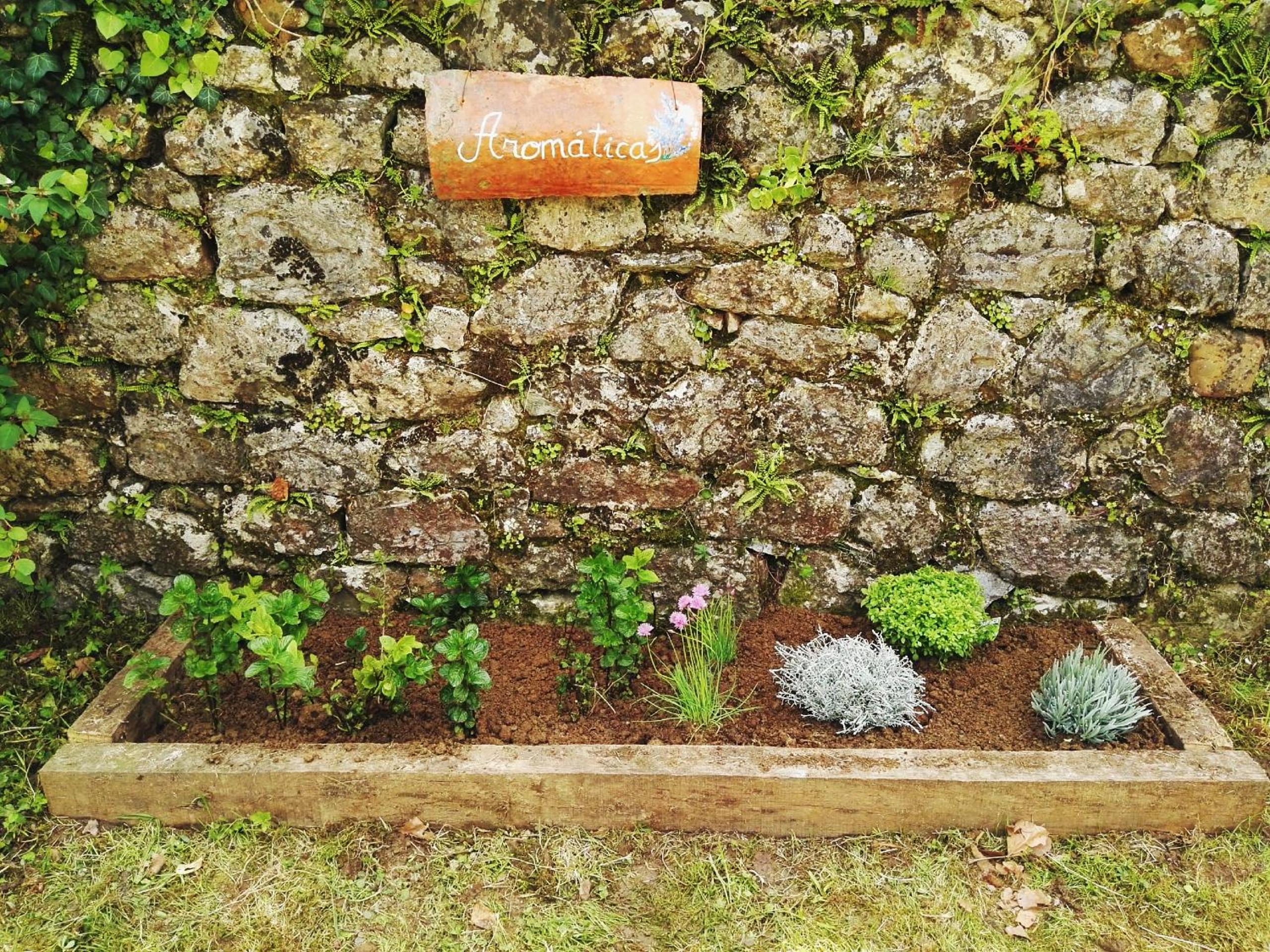 Finca Artienza