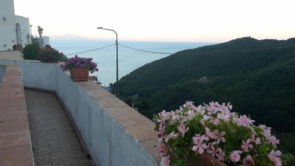 Le Terrazze di Cristina