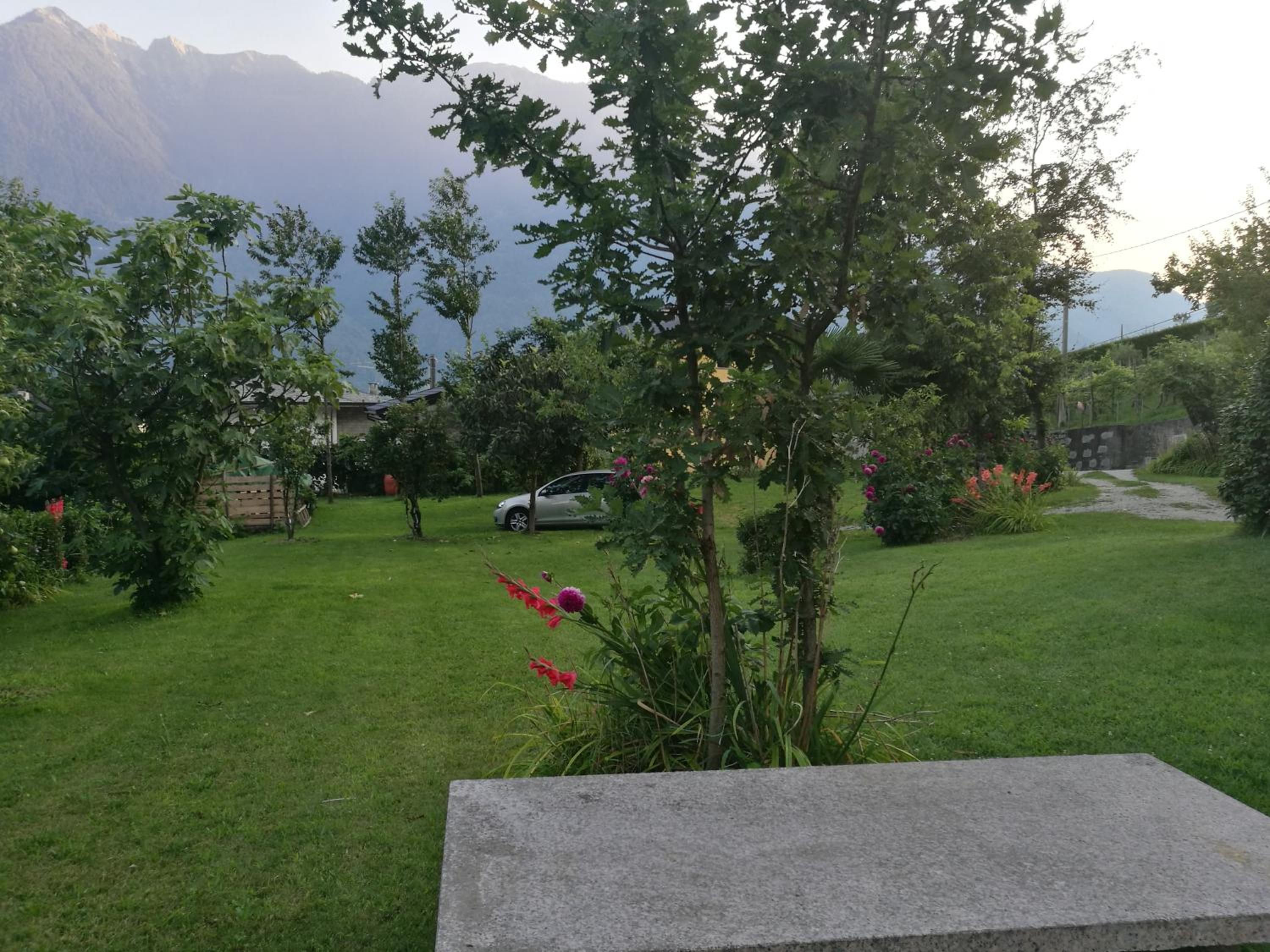Photo 6
