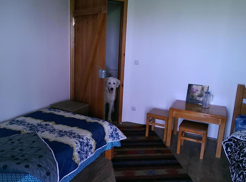 Photo 45