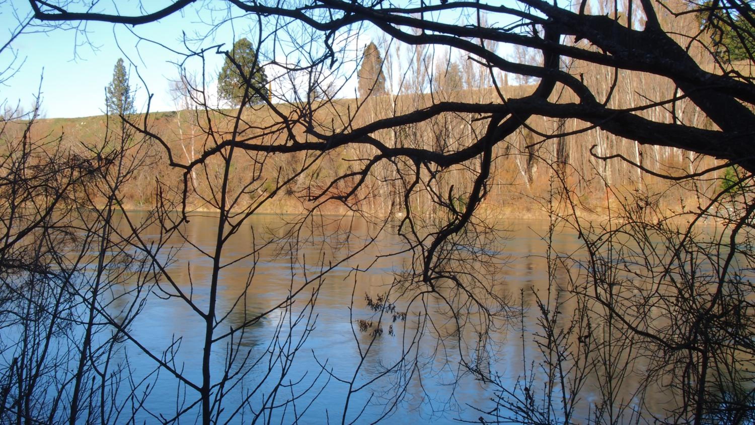 Photo 22