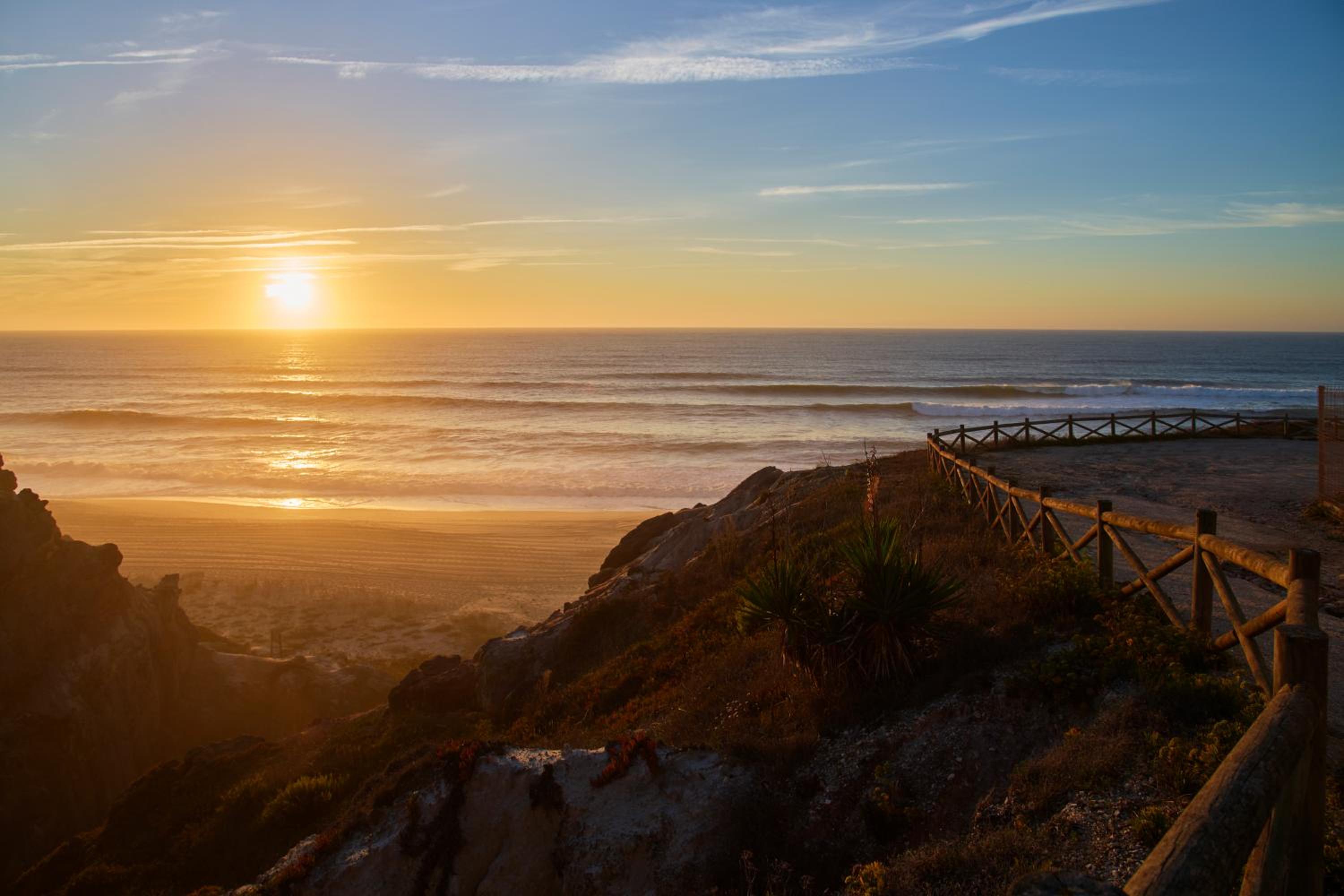 Wander Surf House