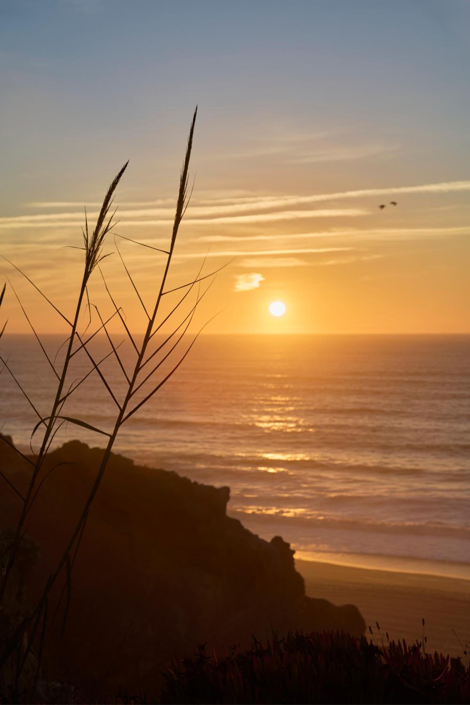 Wander Surf House