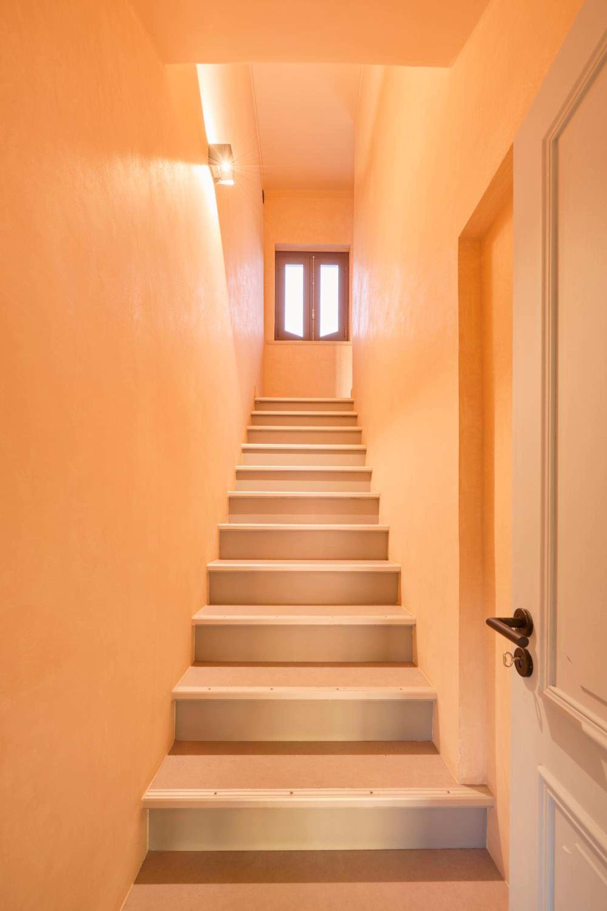 Wander Surf House