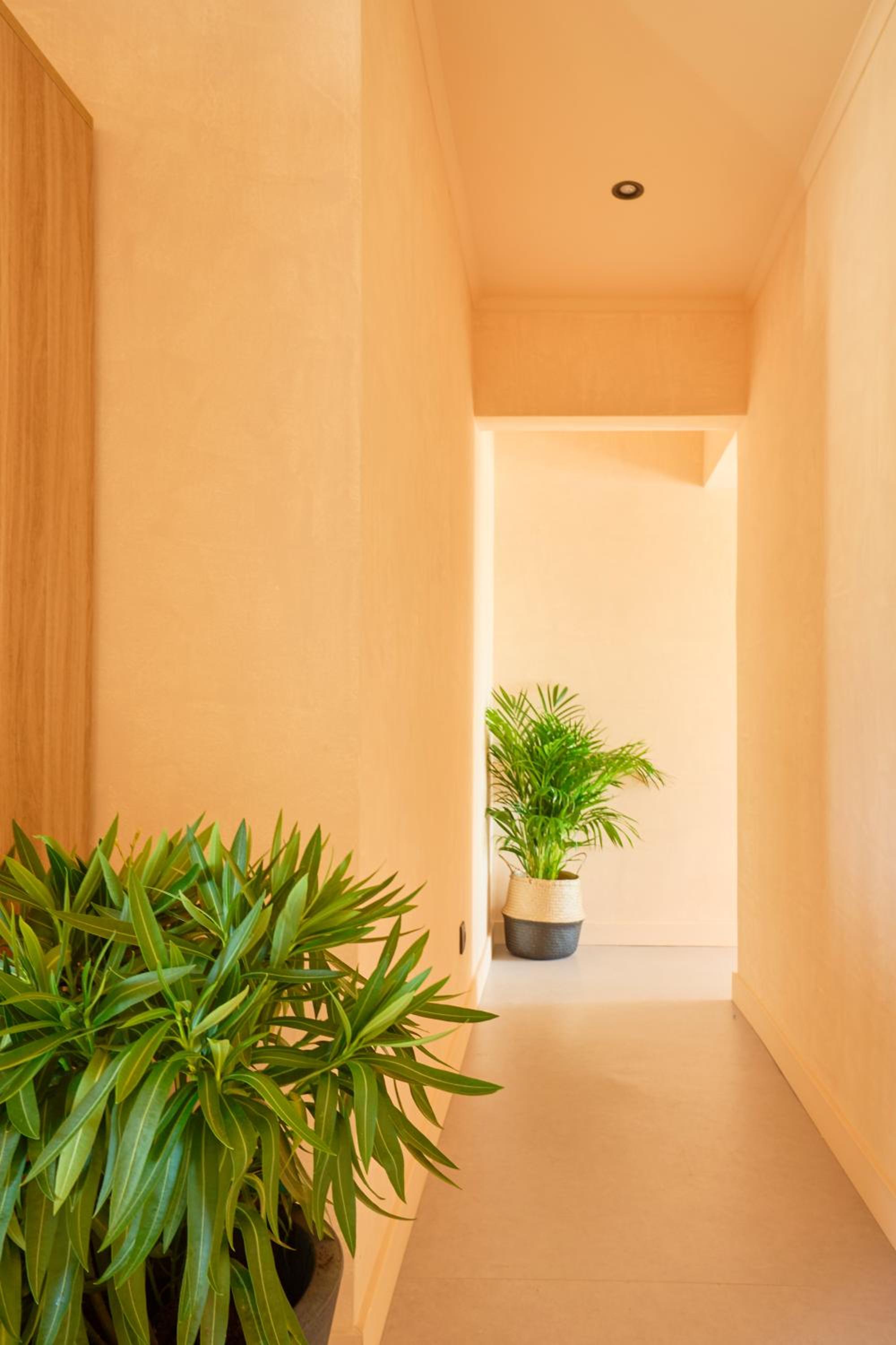 Wander Surf House