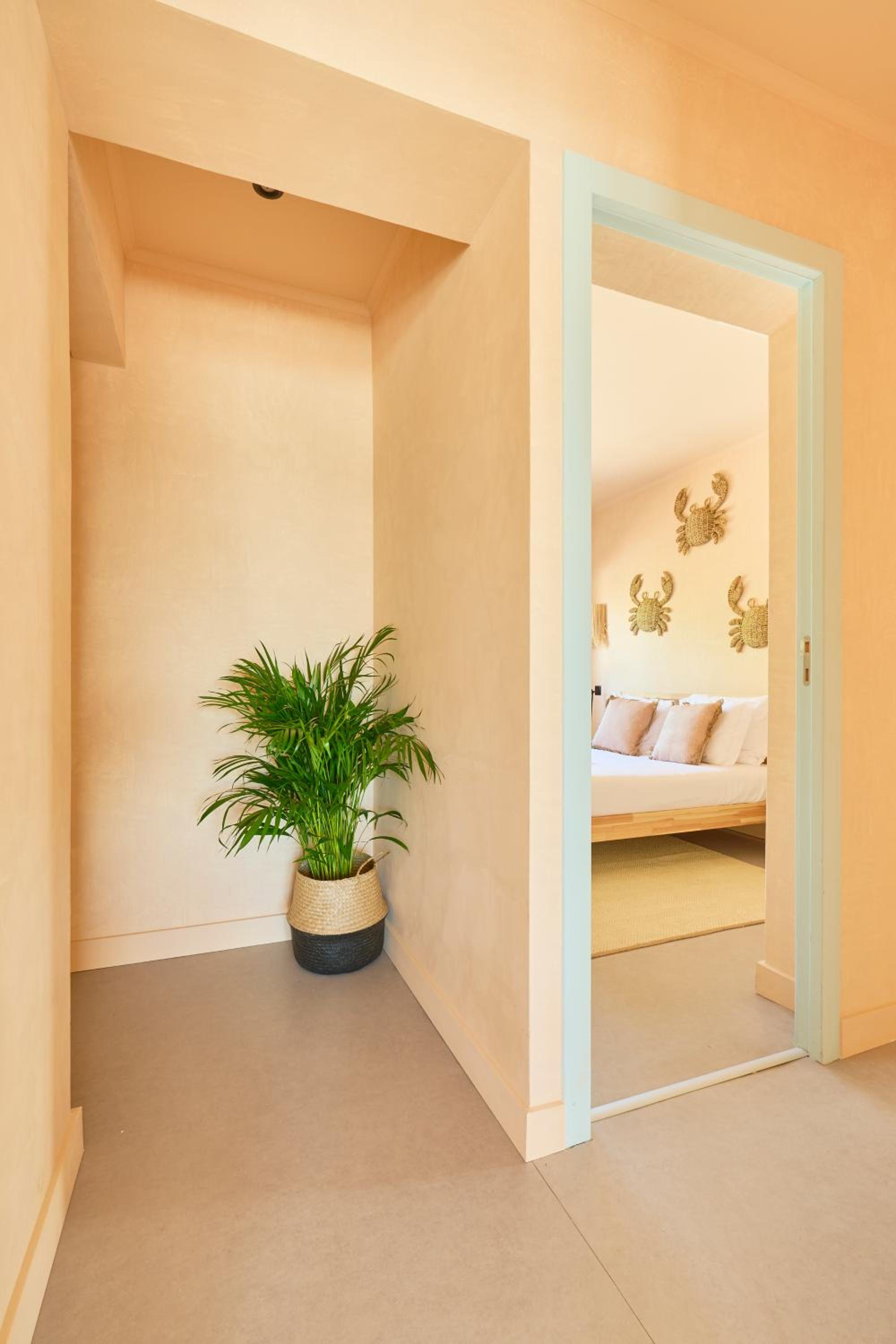 Wander Surf House
