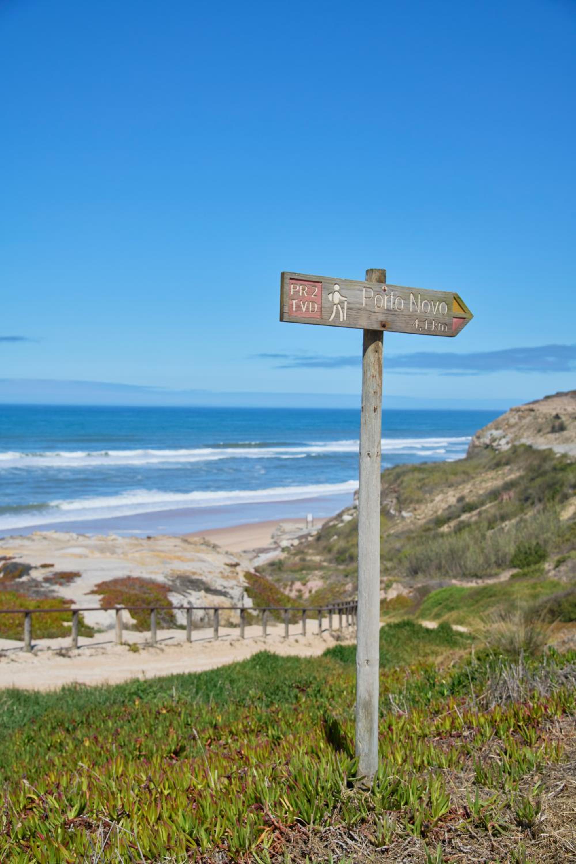 Wander Surf House