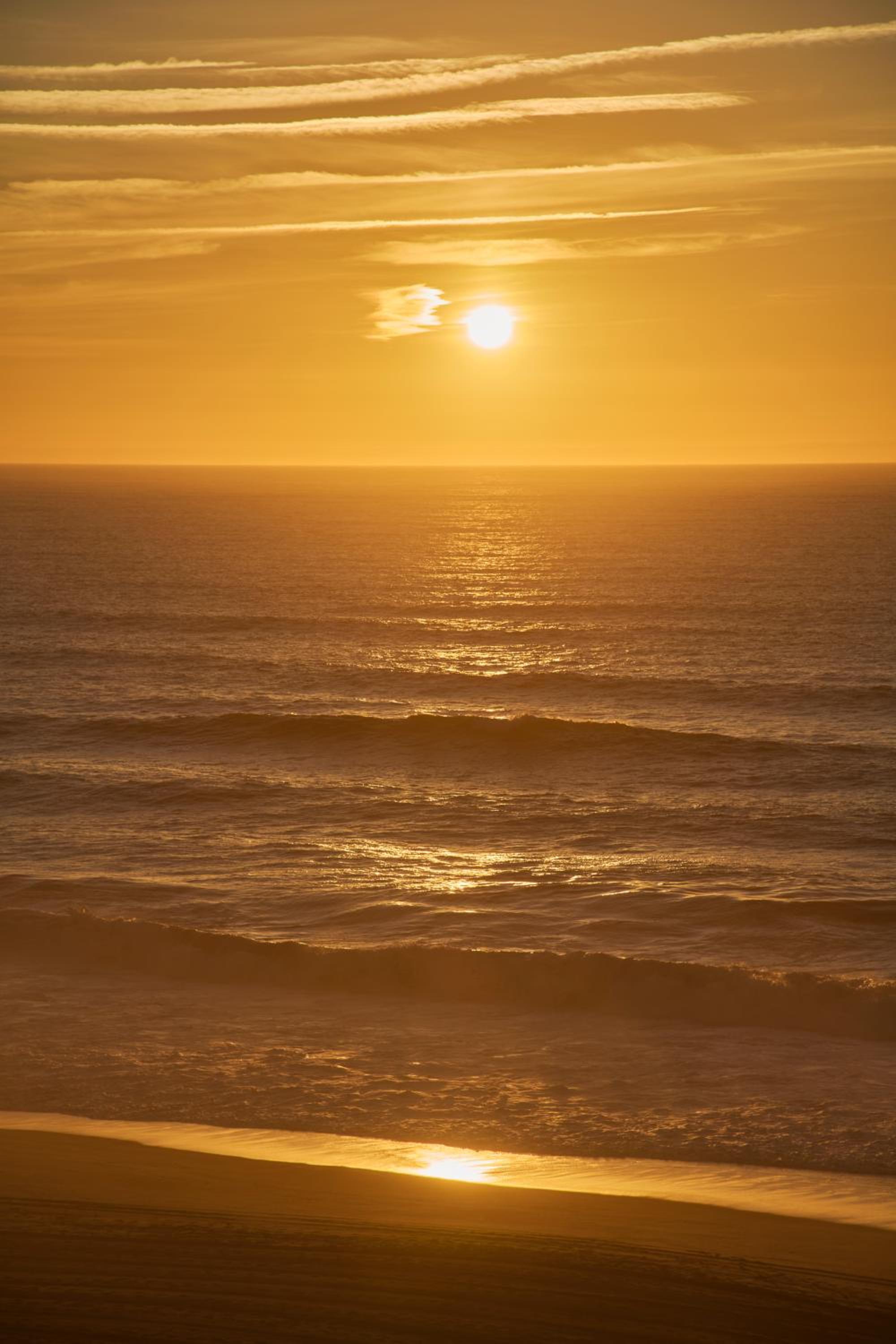 Wander Surf House