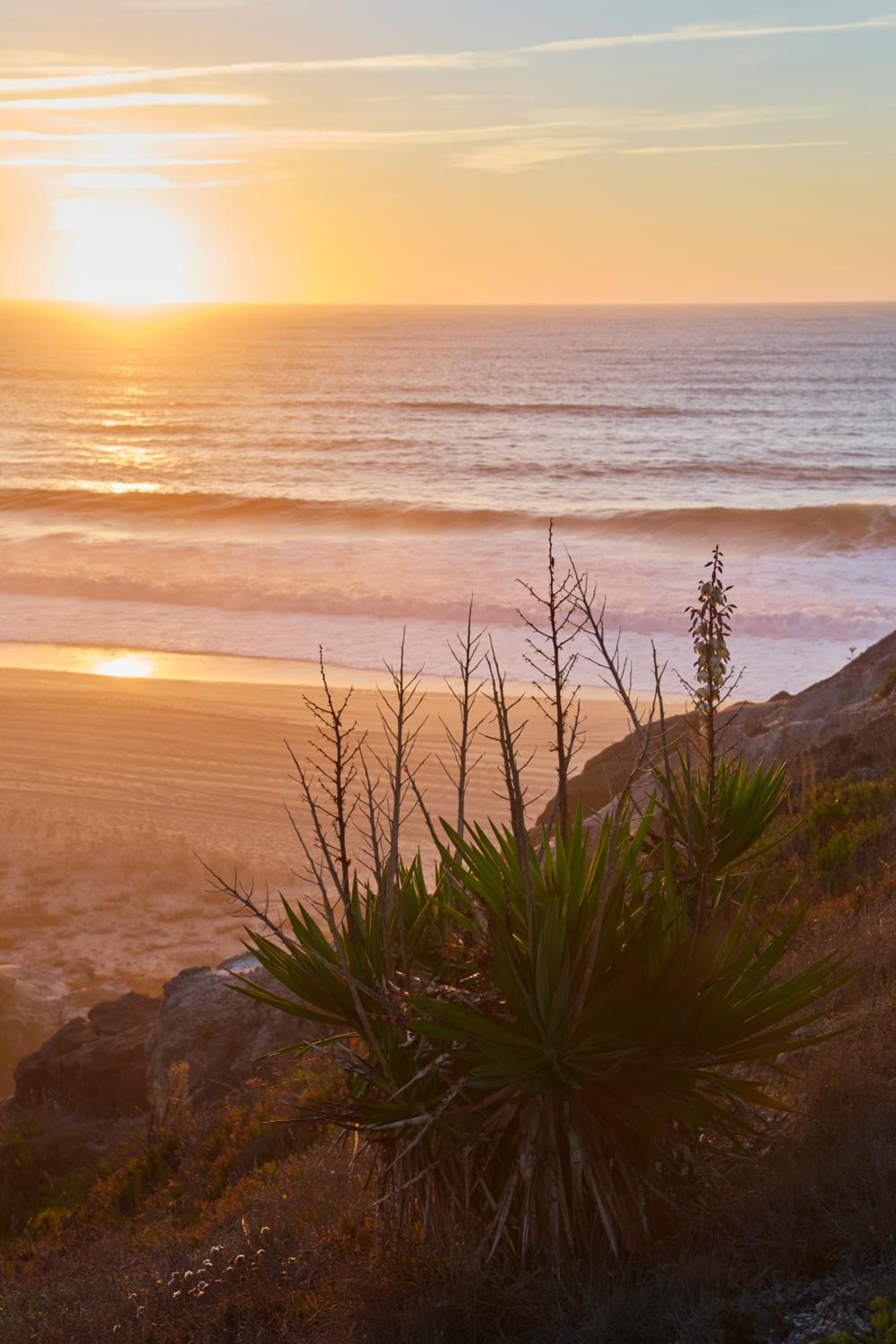 Wander Surf House