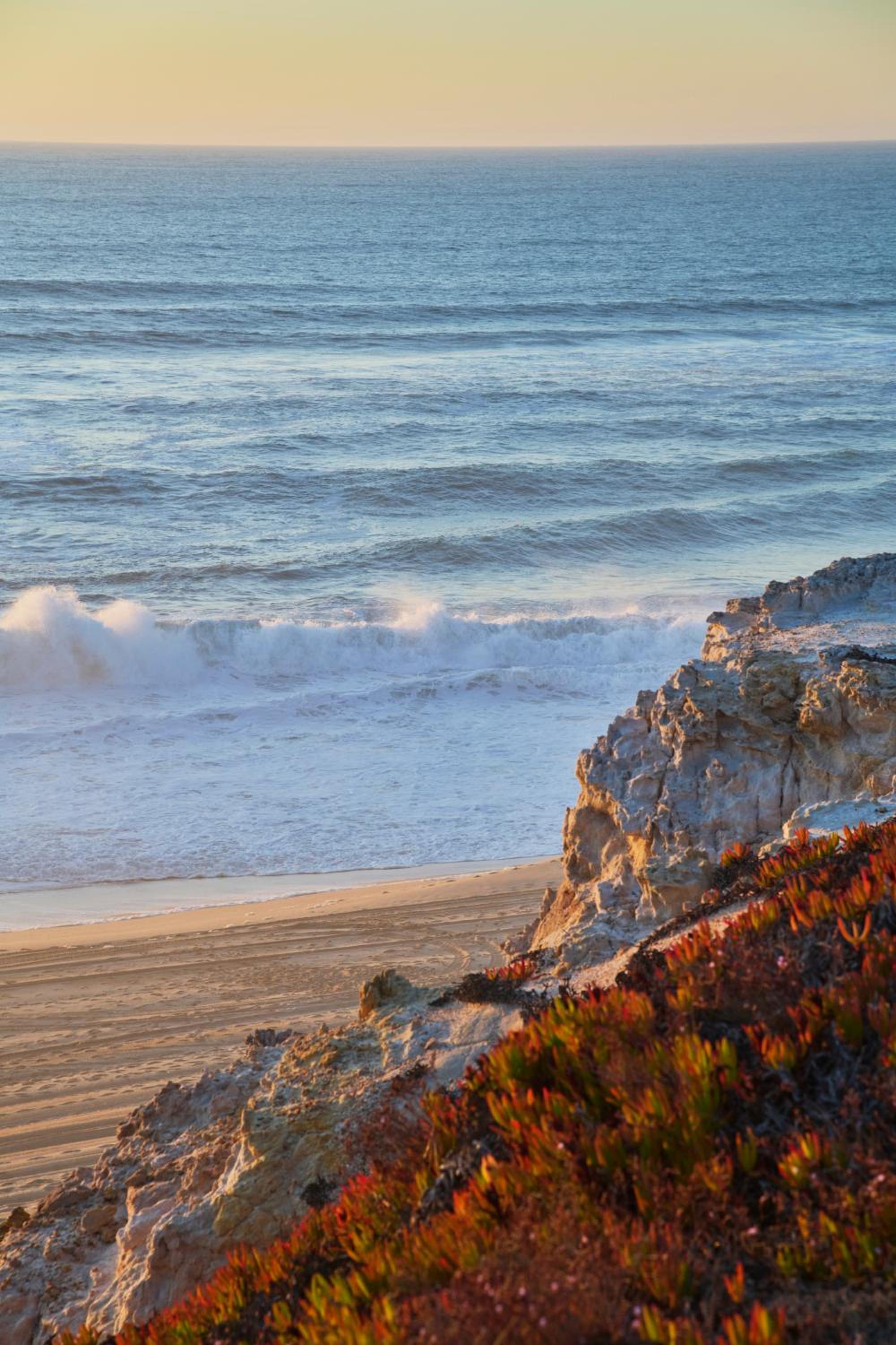 Wander Surf House
