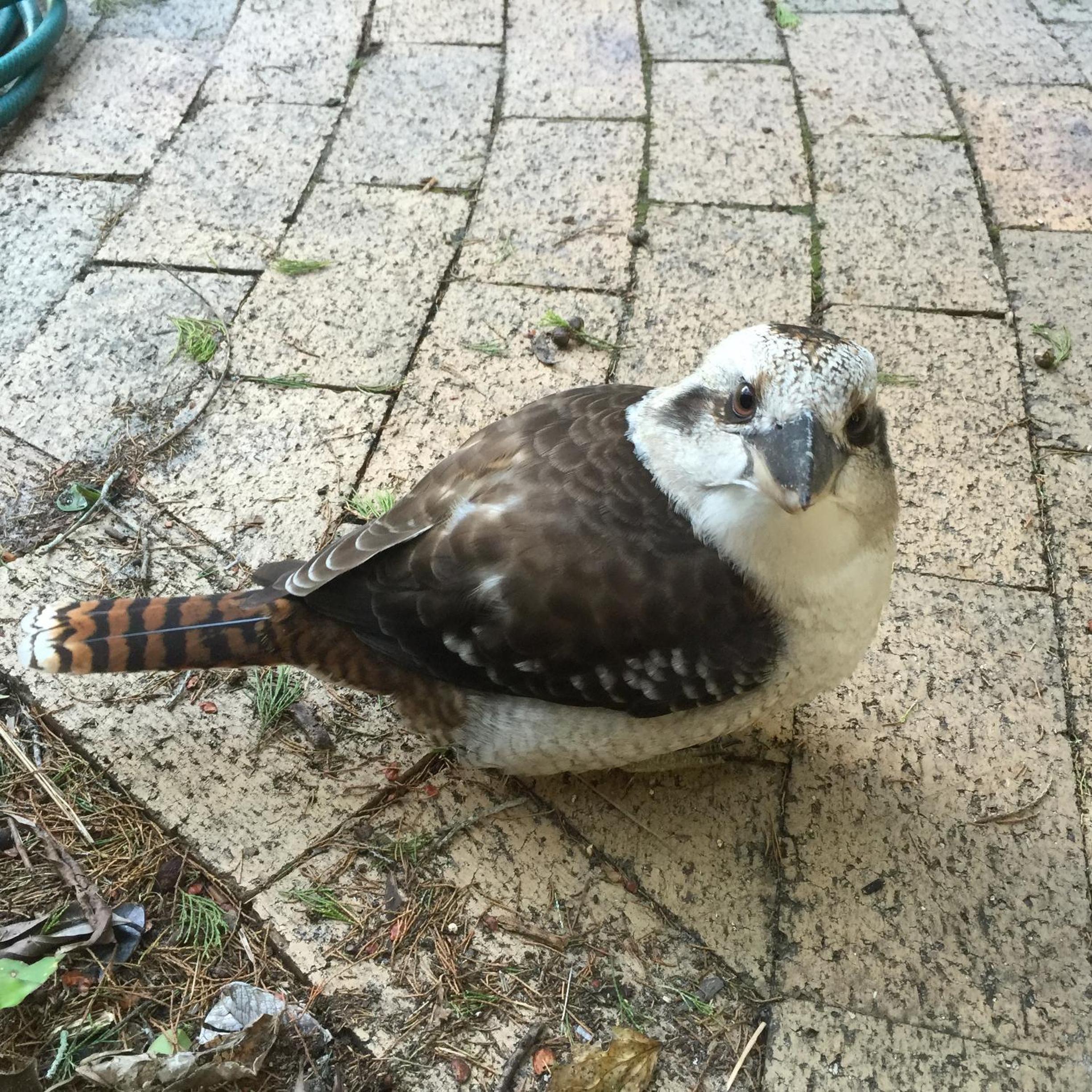 Photo 21