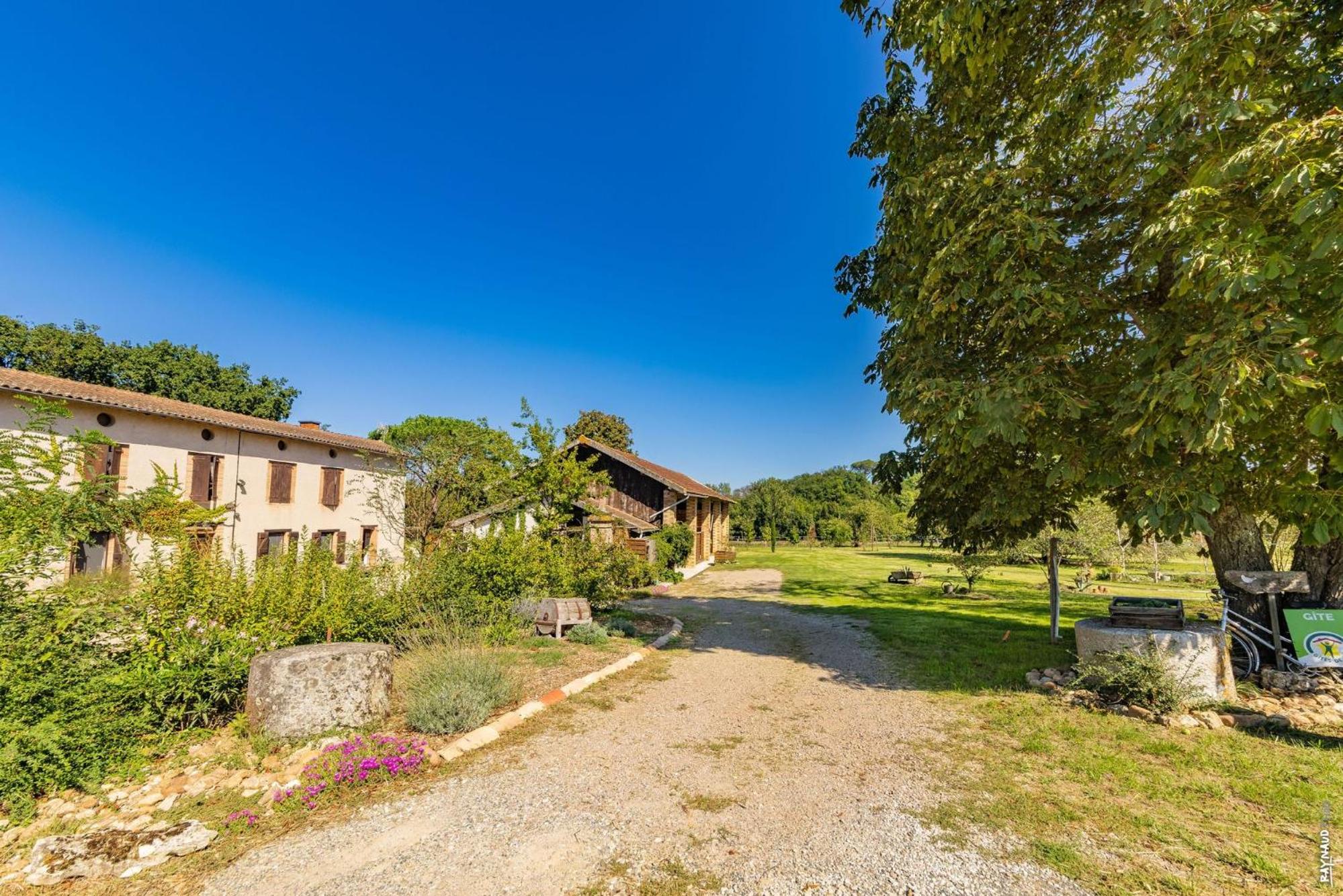 Duplex des Vignes - Nature - Montans