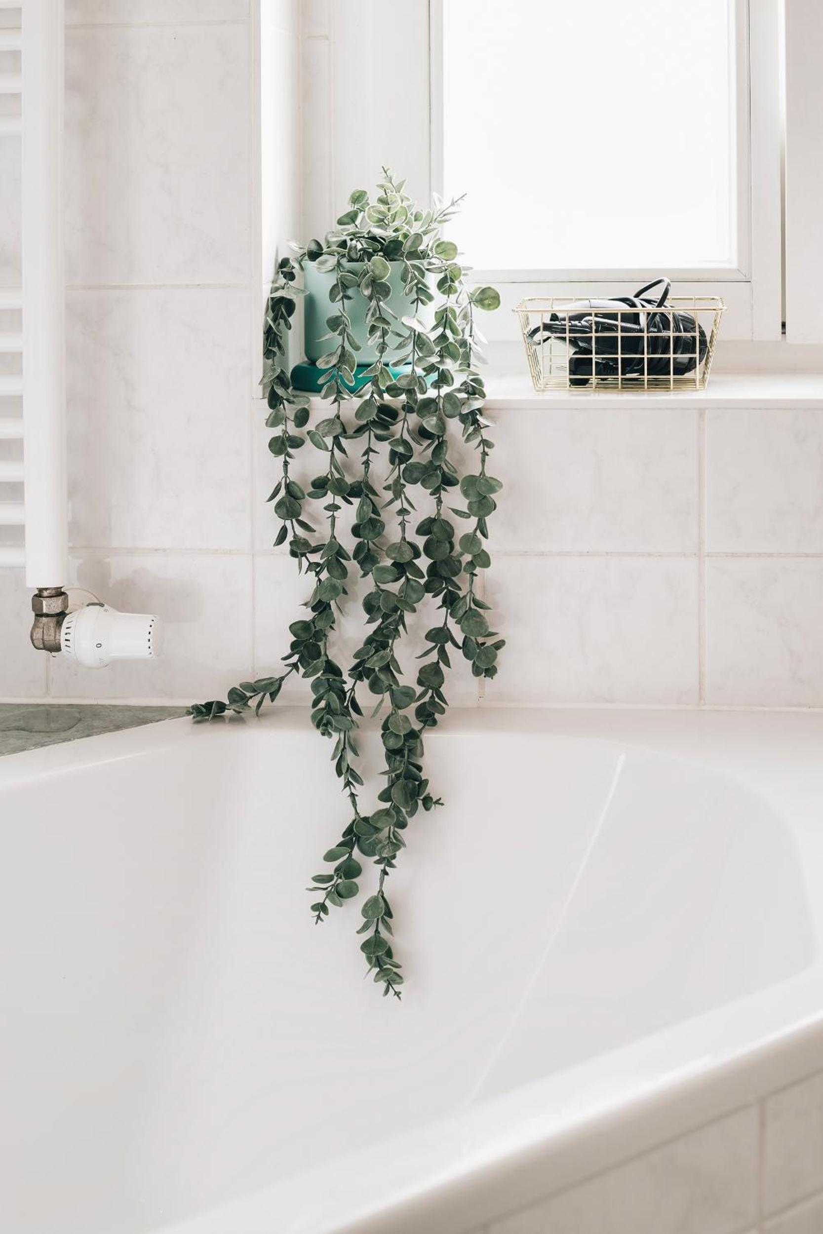 Creekside Colors - Playful Apartment