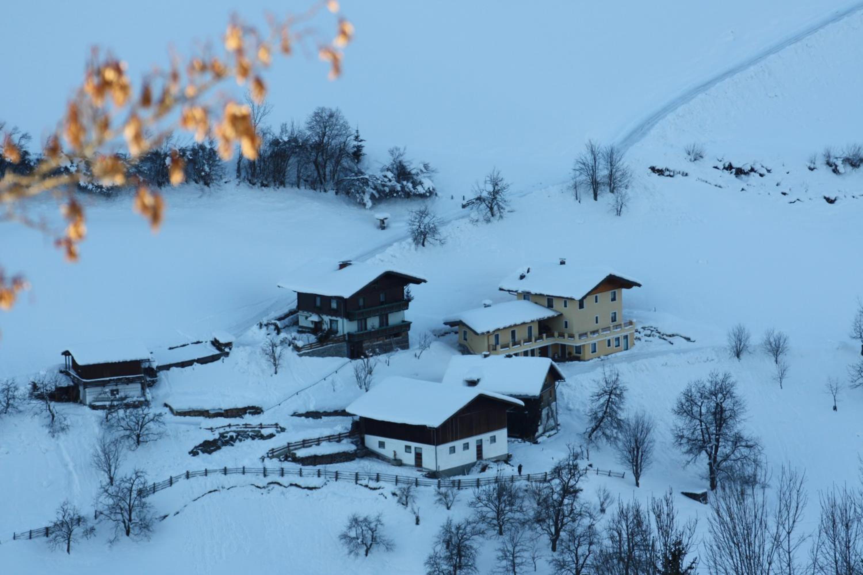 Holzlehenhof view 5