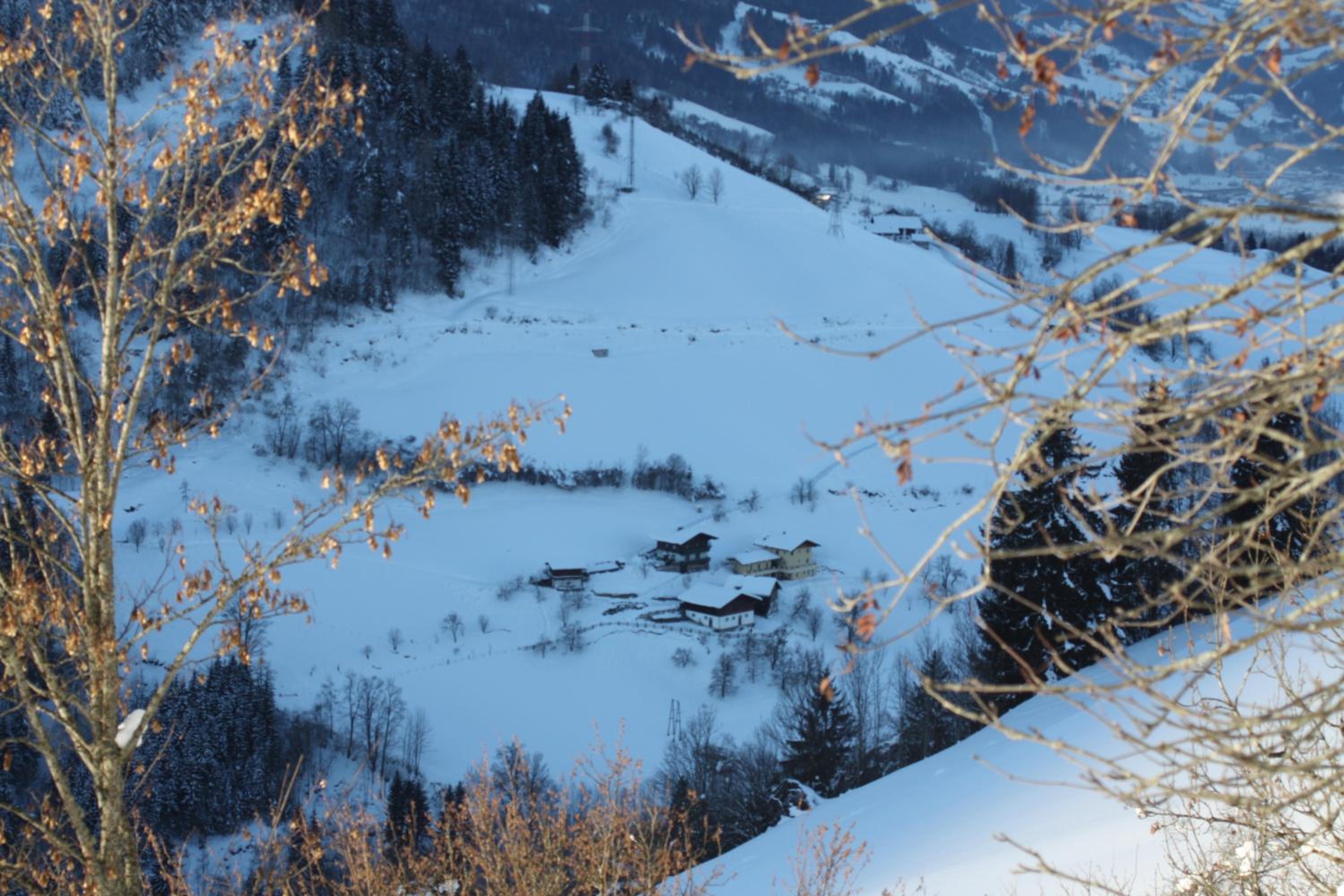 Photo 41