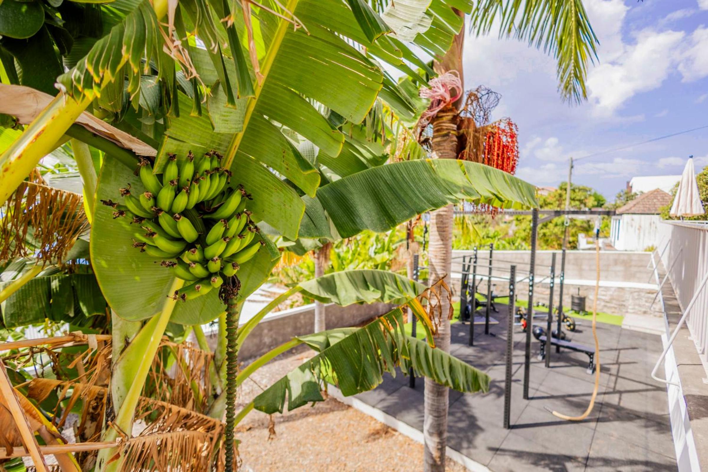 Villa Crossdeira - A Wellness Retreat