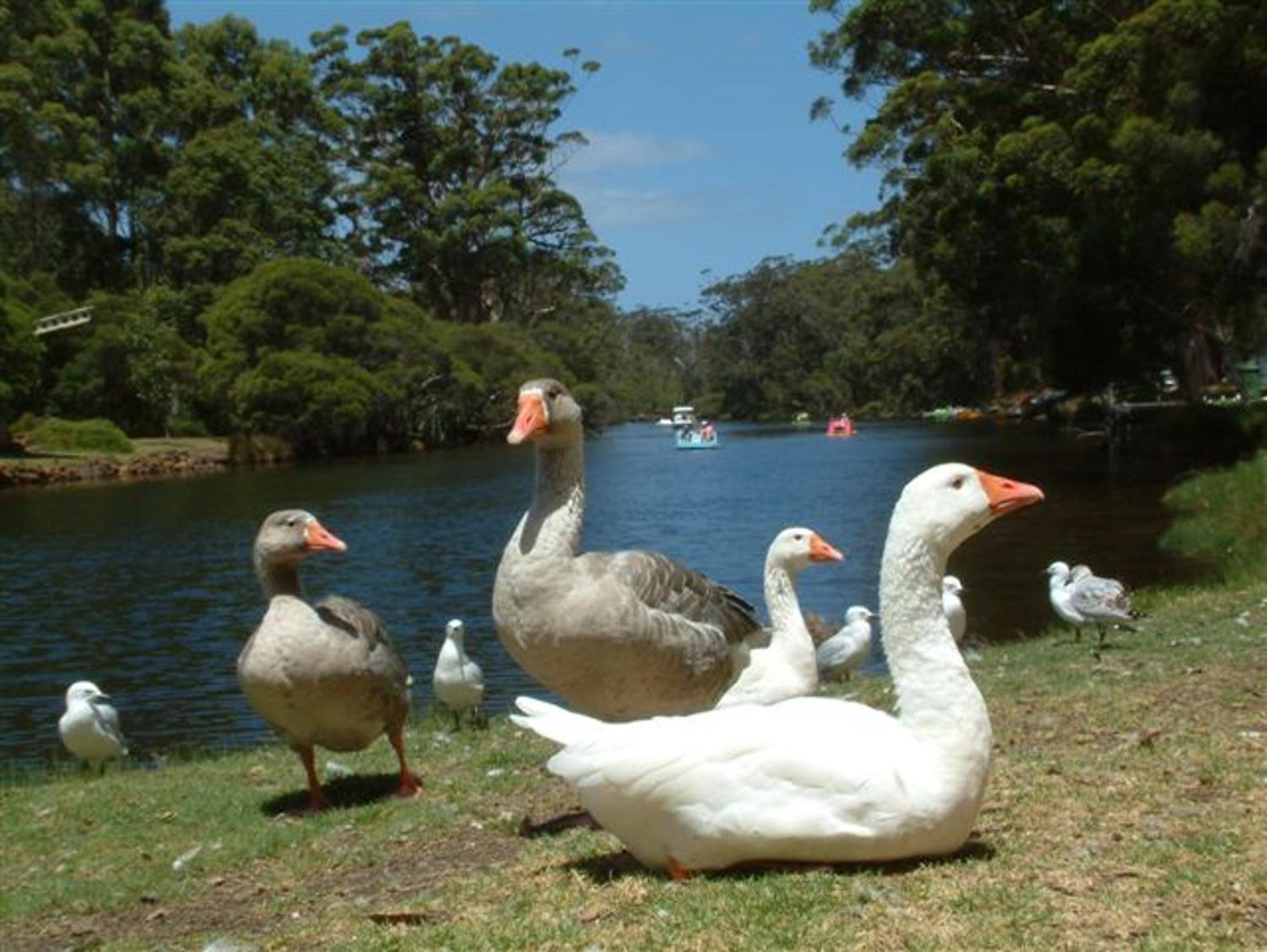 The Coombe on Wilson Inlet