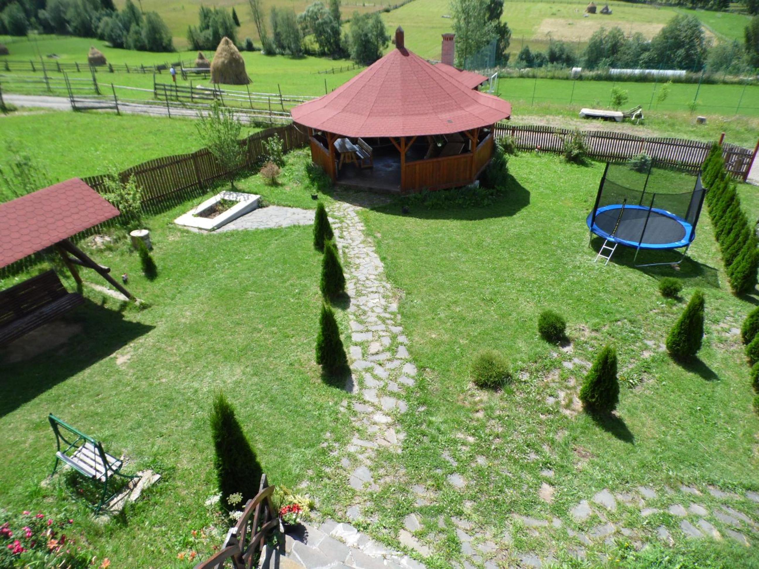 Photo 6