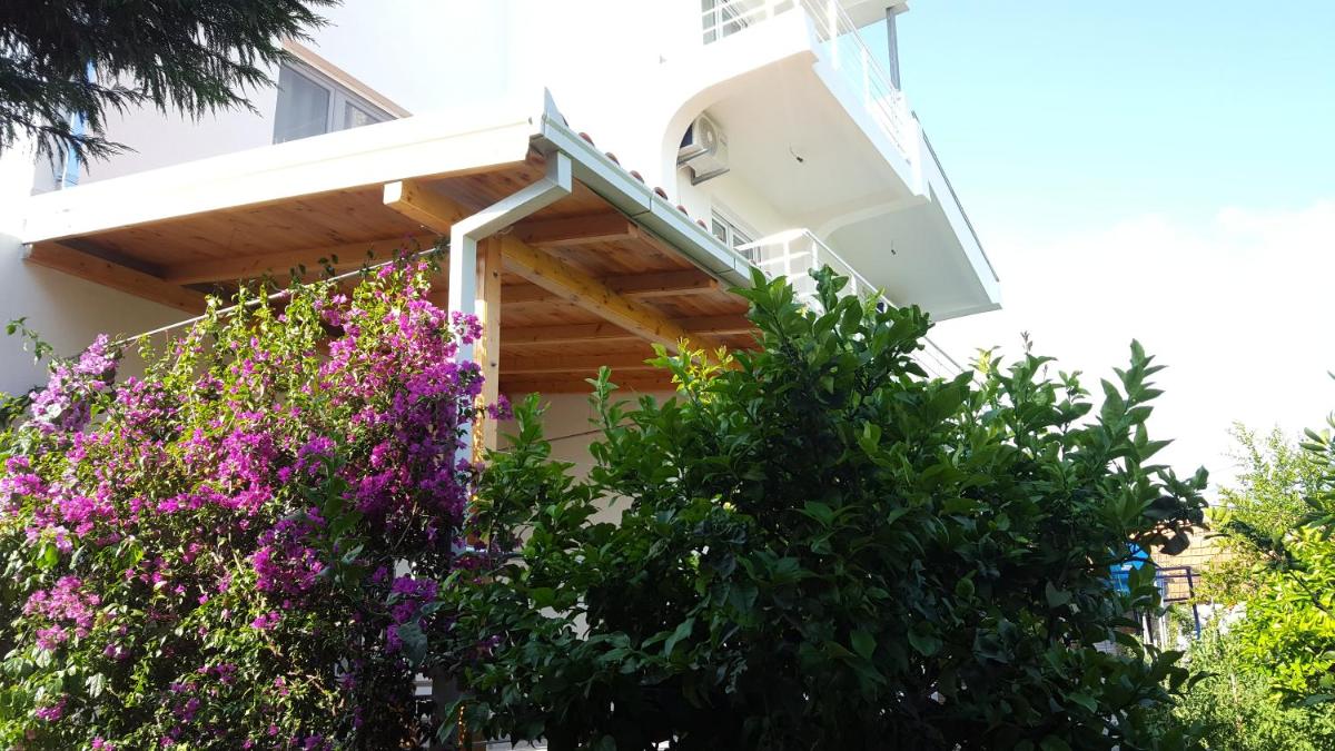 Photo 44