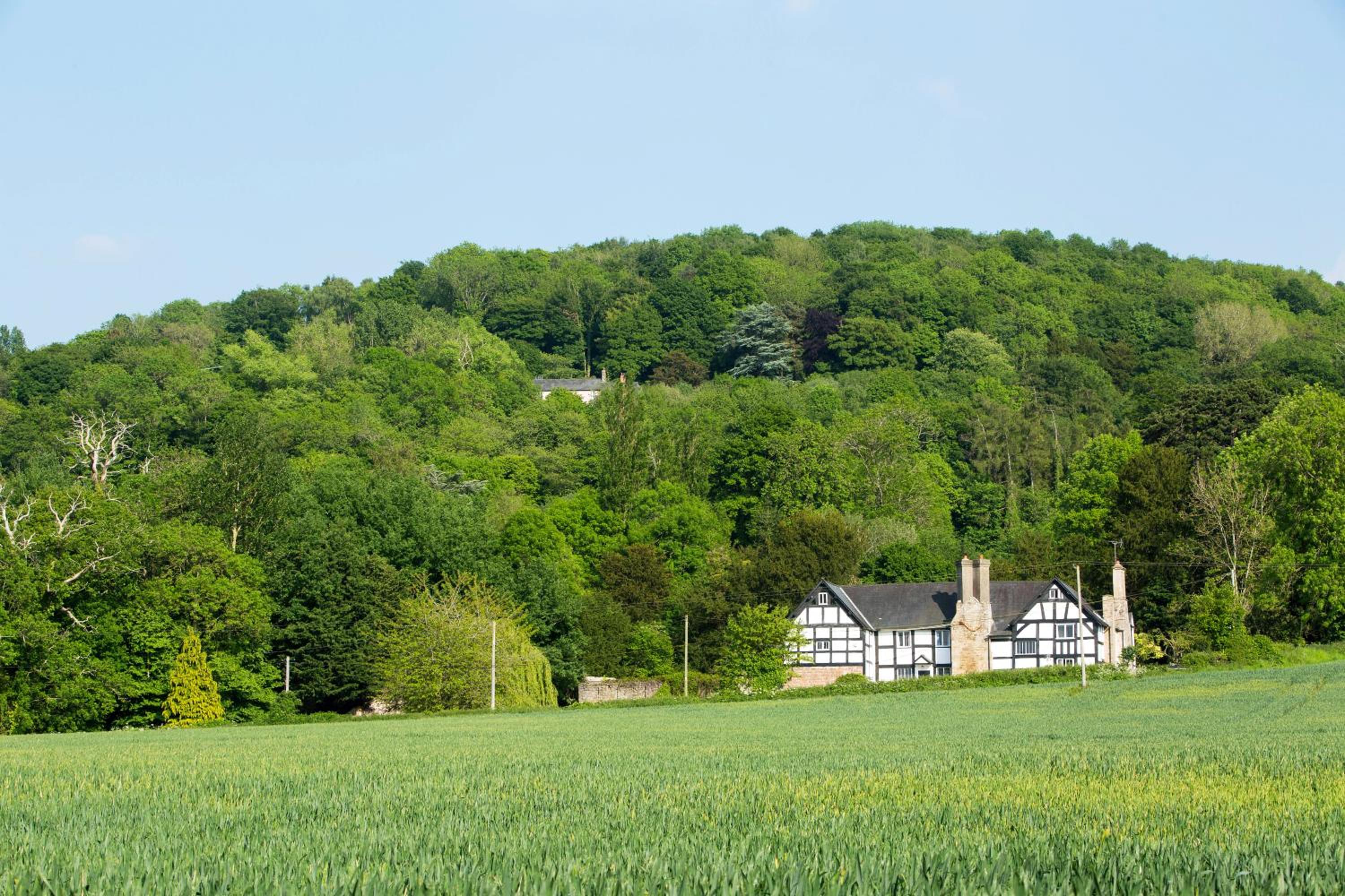Lower Wythall B&B
