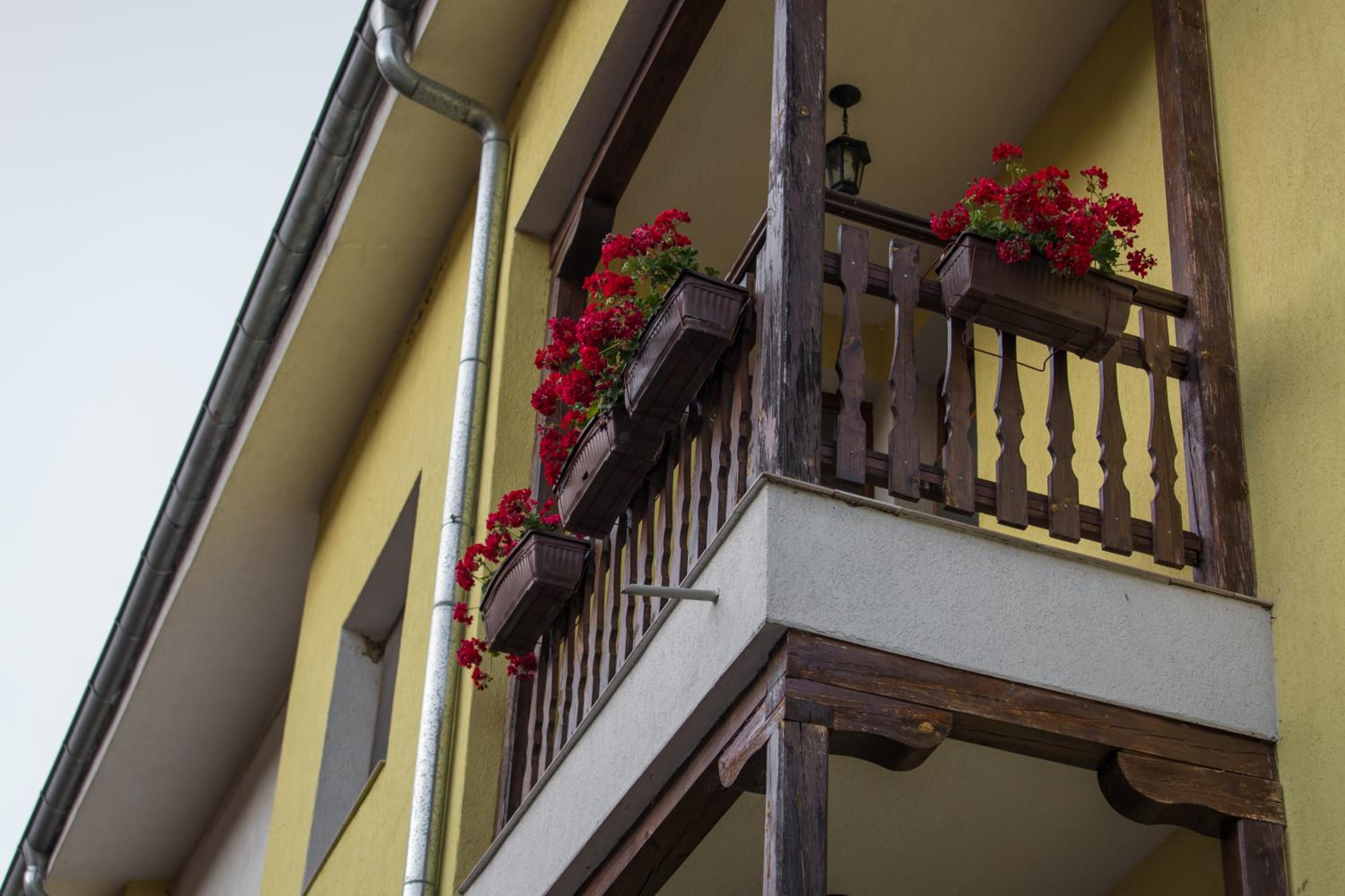 Hera Guest House