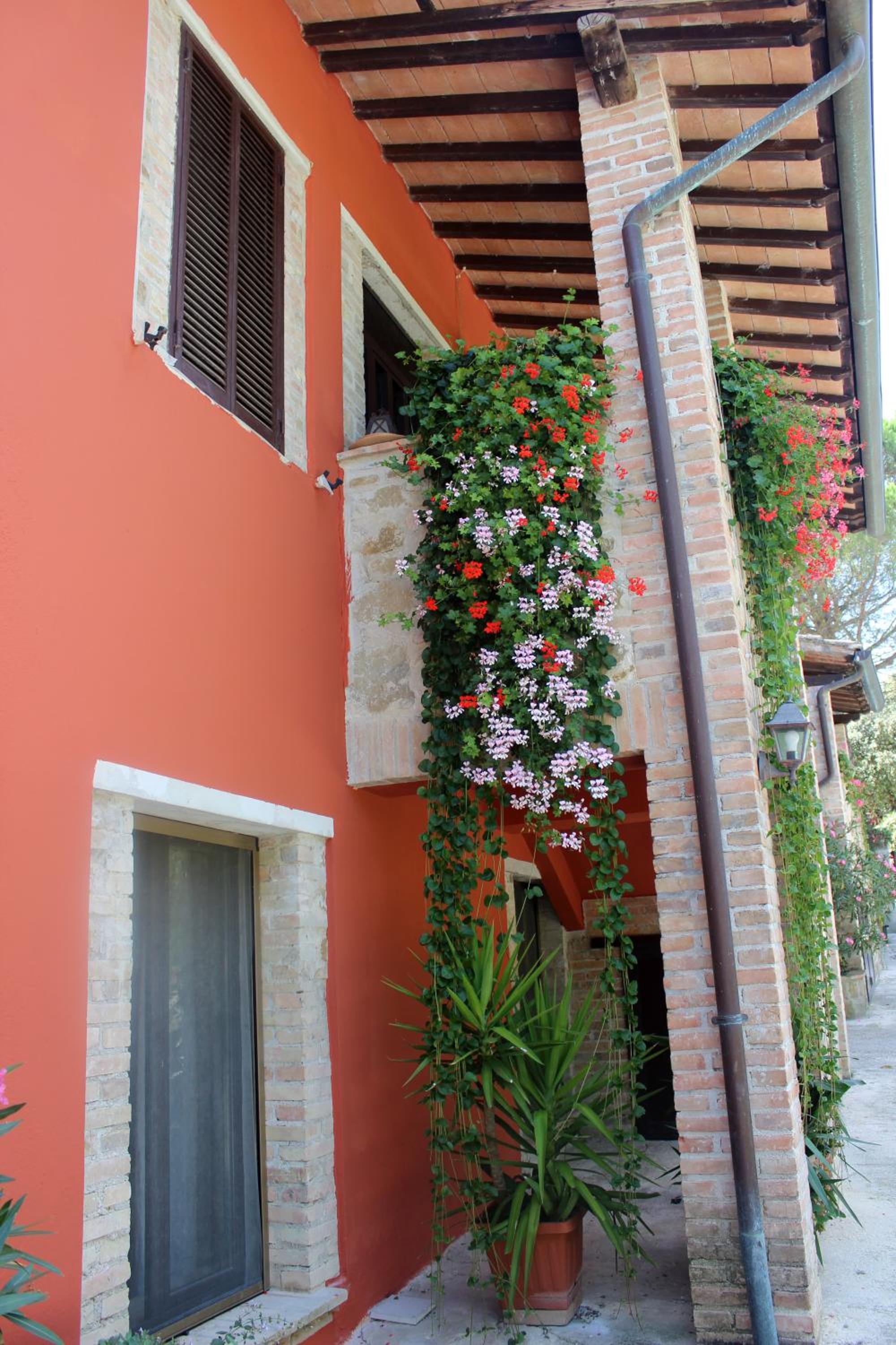 Photo 96