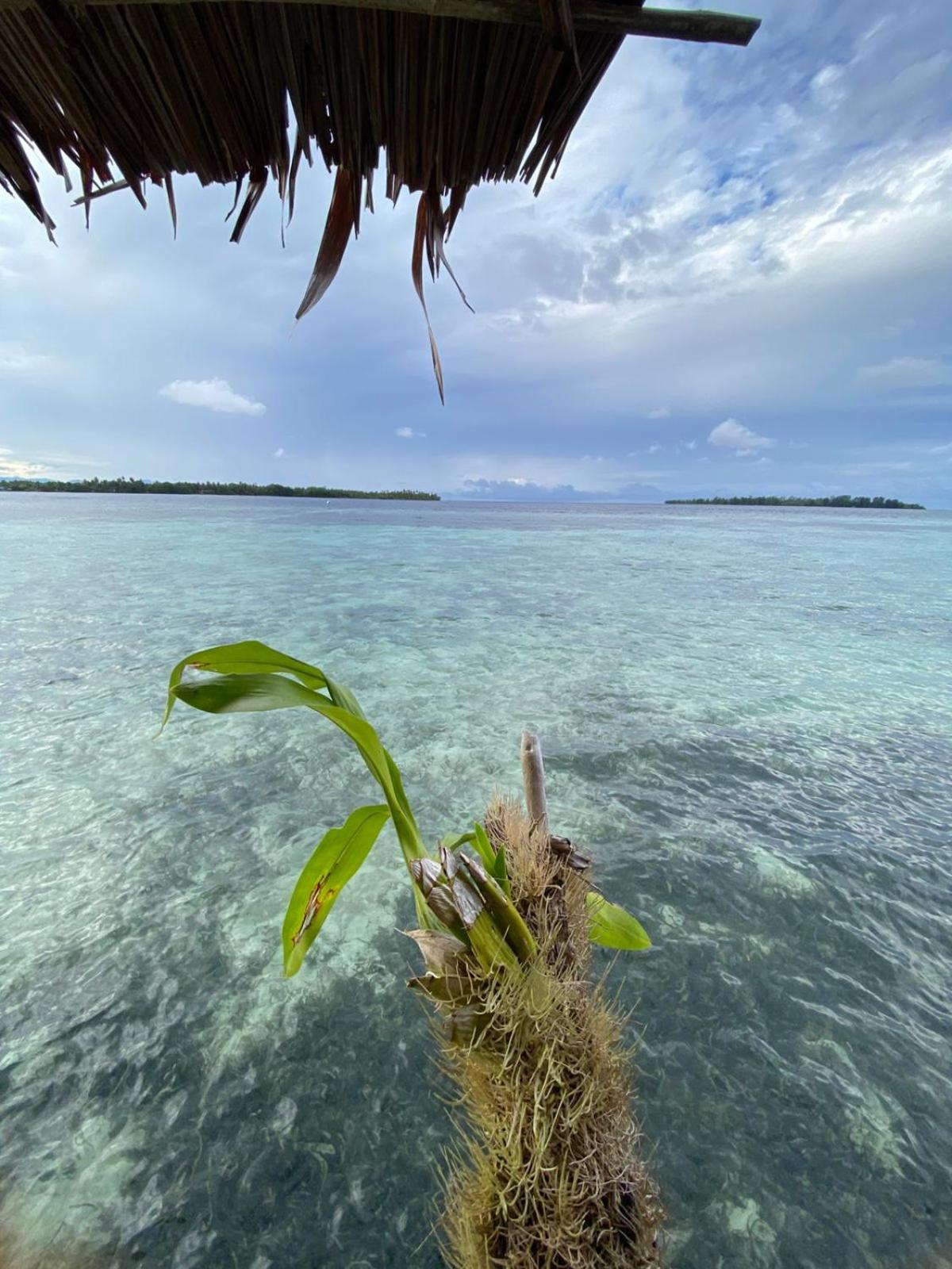 Senjahomestayrajaampat