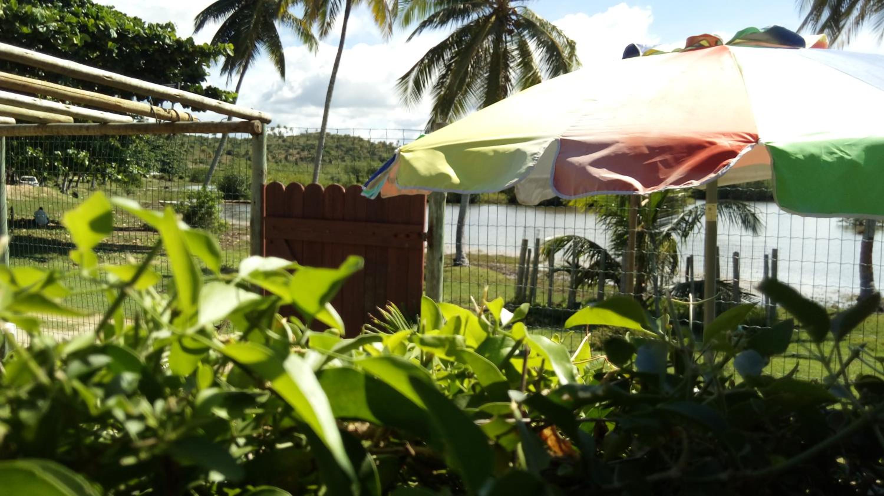 outdoor BBQ area