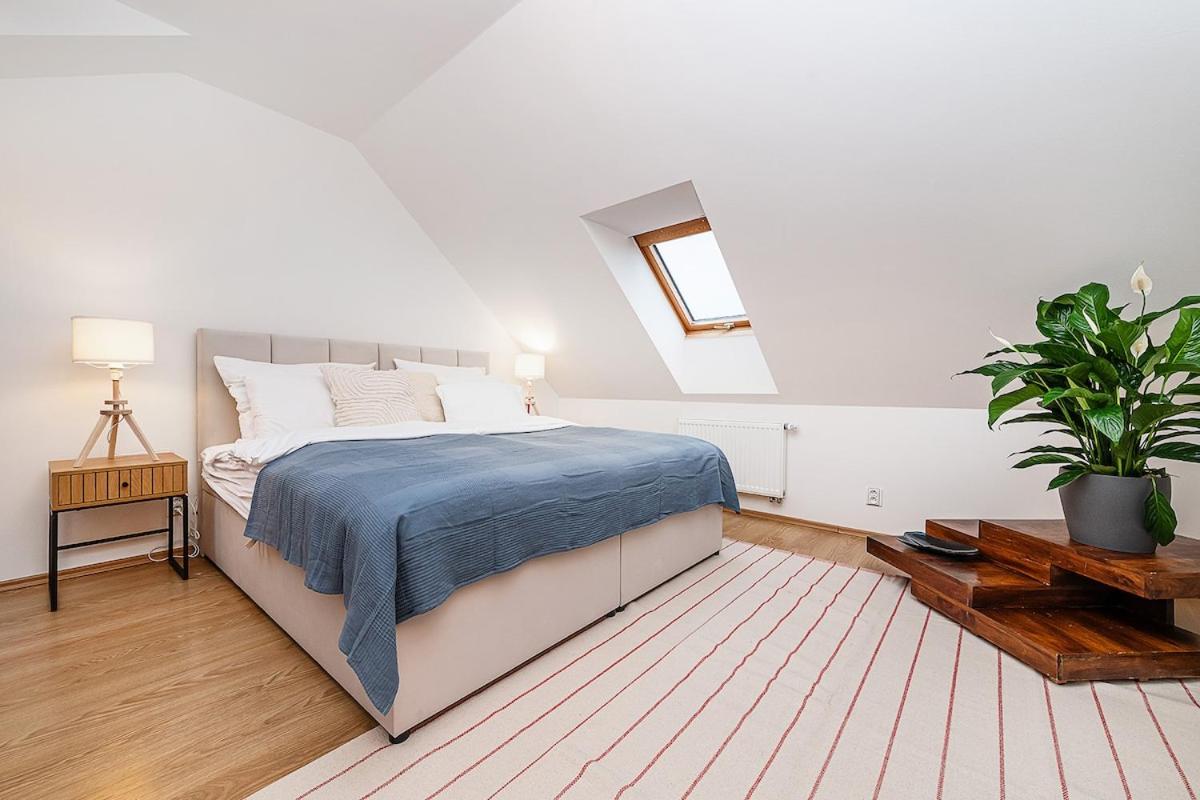 Amazing 3-Bedroom and Terrace overlooking TV Tower