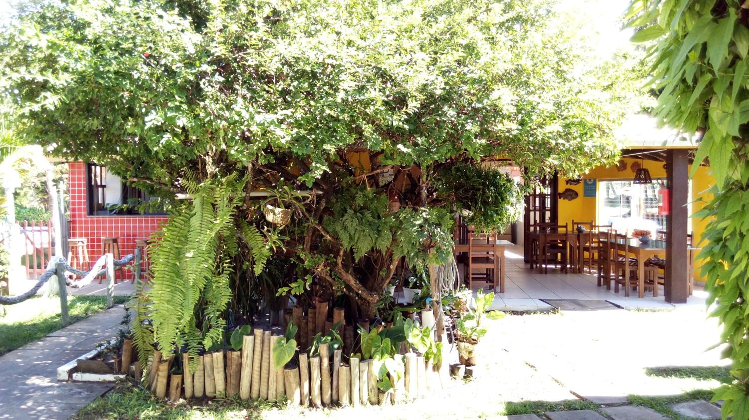 outdoor BBQ area