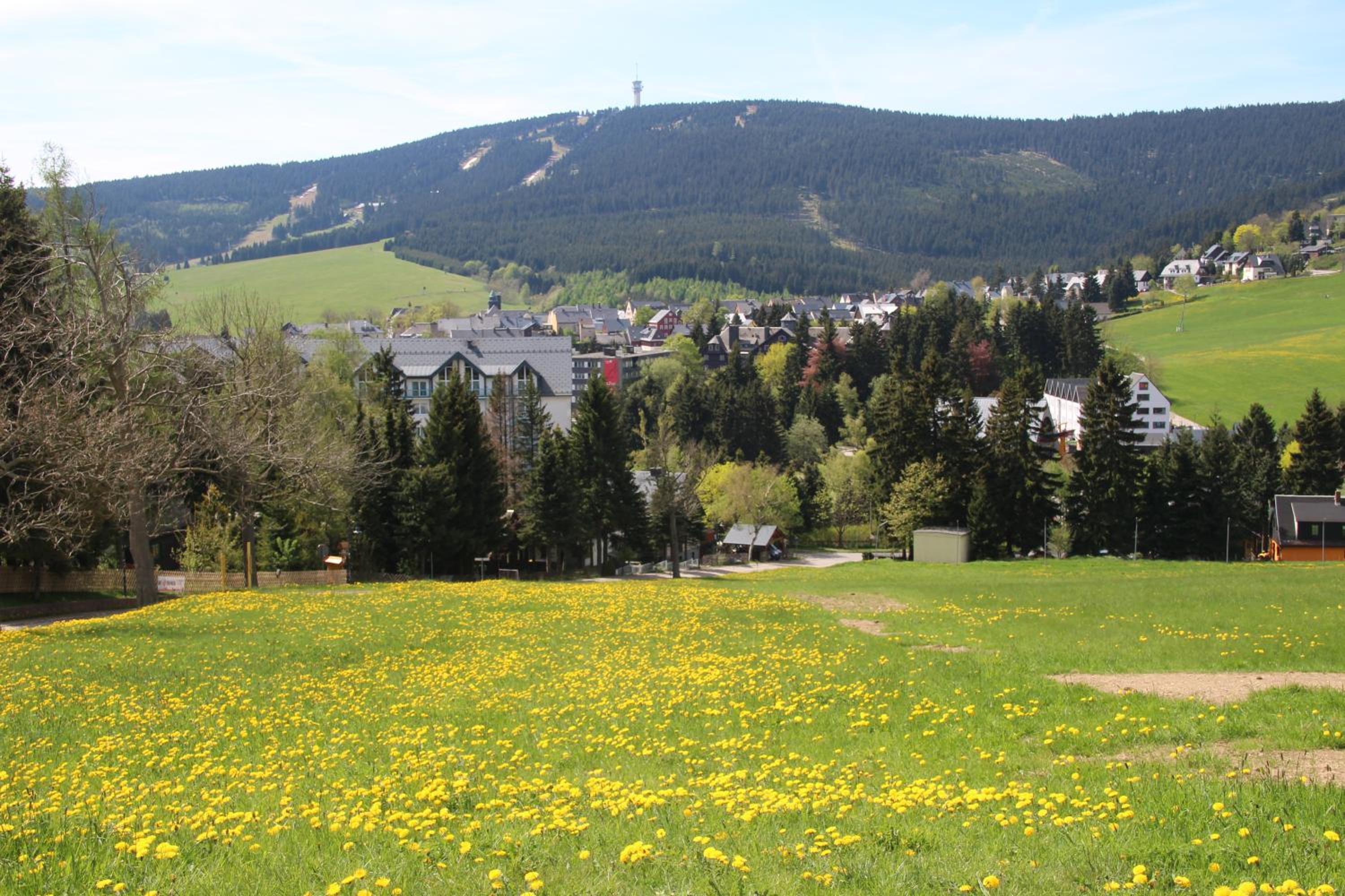 Apartments Sport Fudel