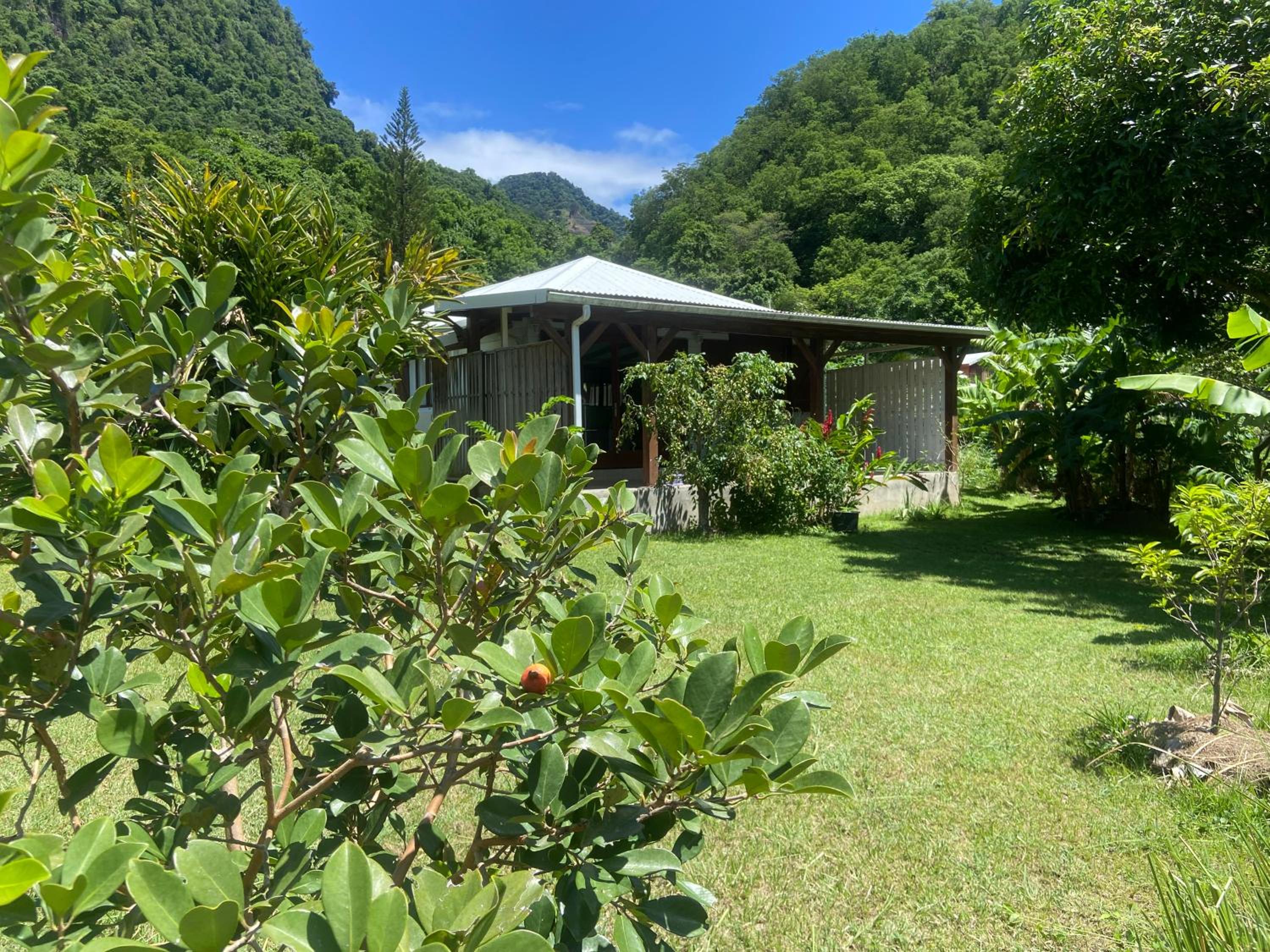 Ti Kaz Houelmont, Vue jardin tropical, proche plage de Rivière-Sens