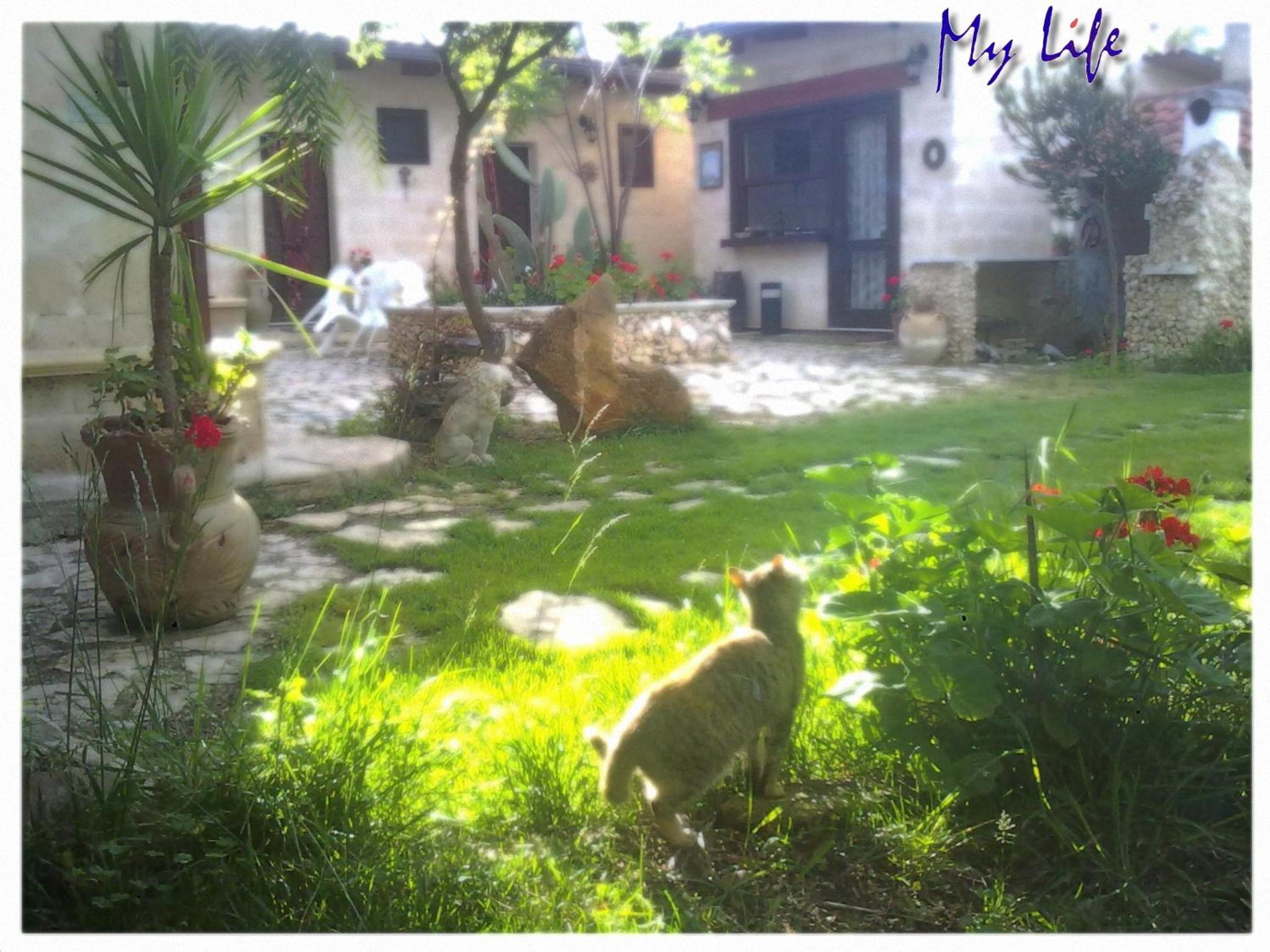 Photo 54