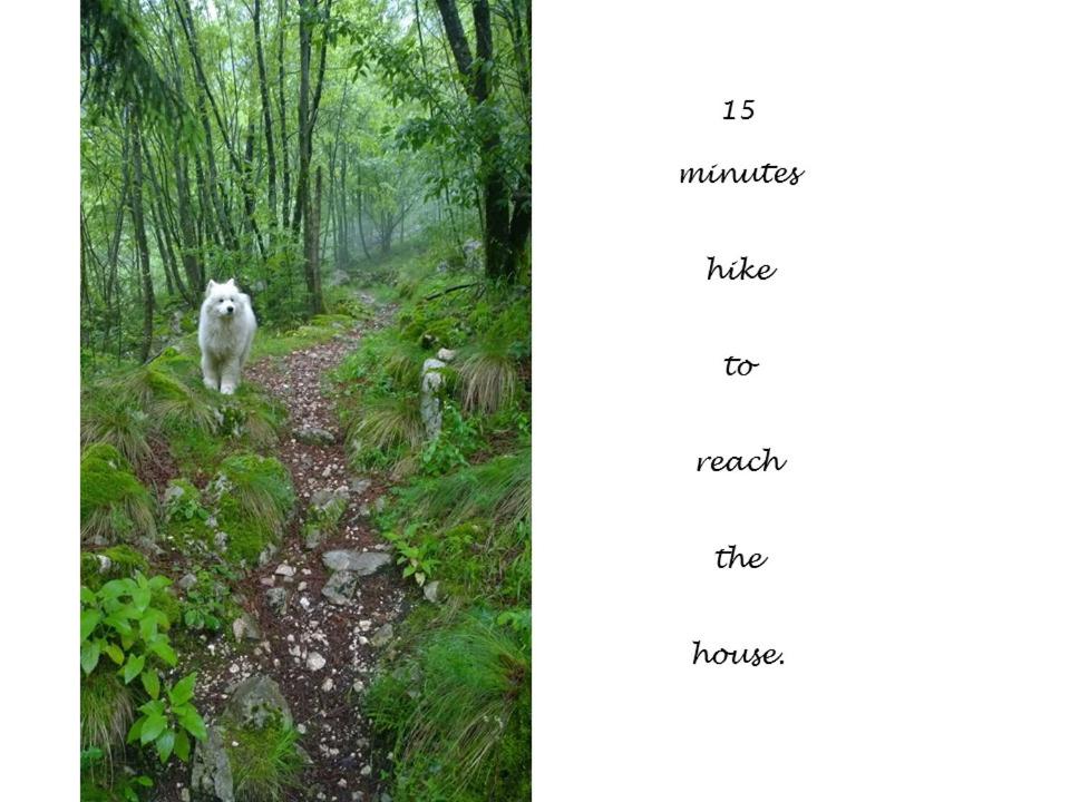 Photo 31