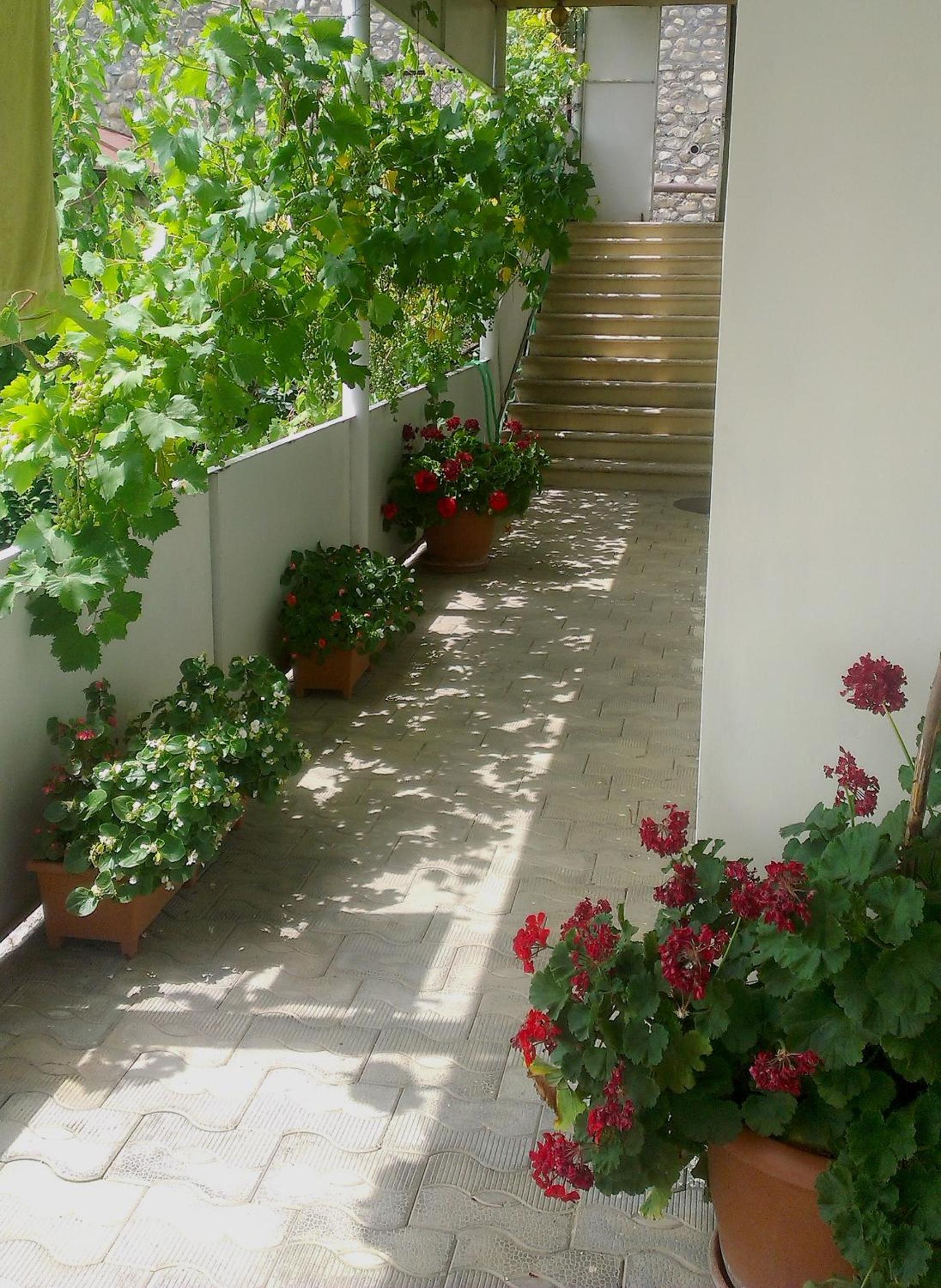 Photo 46
