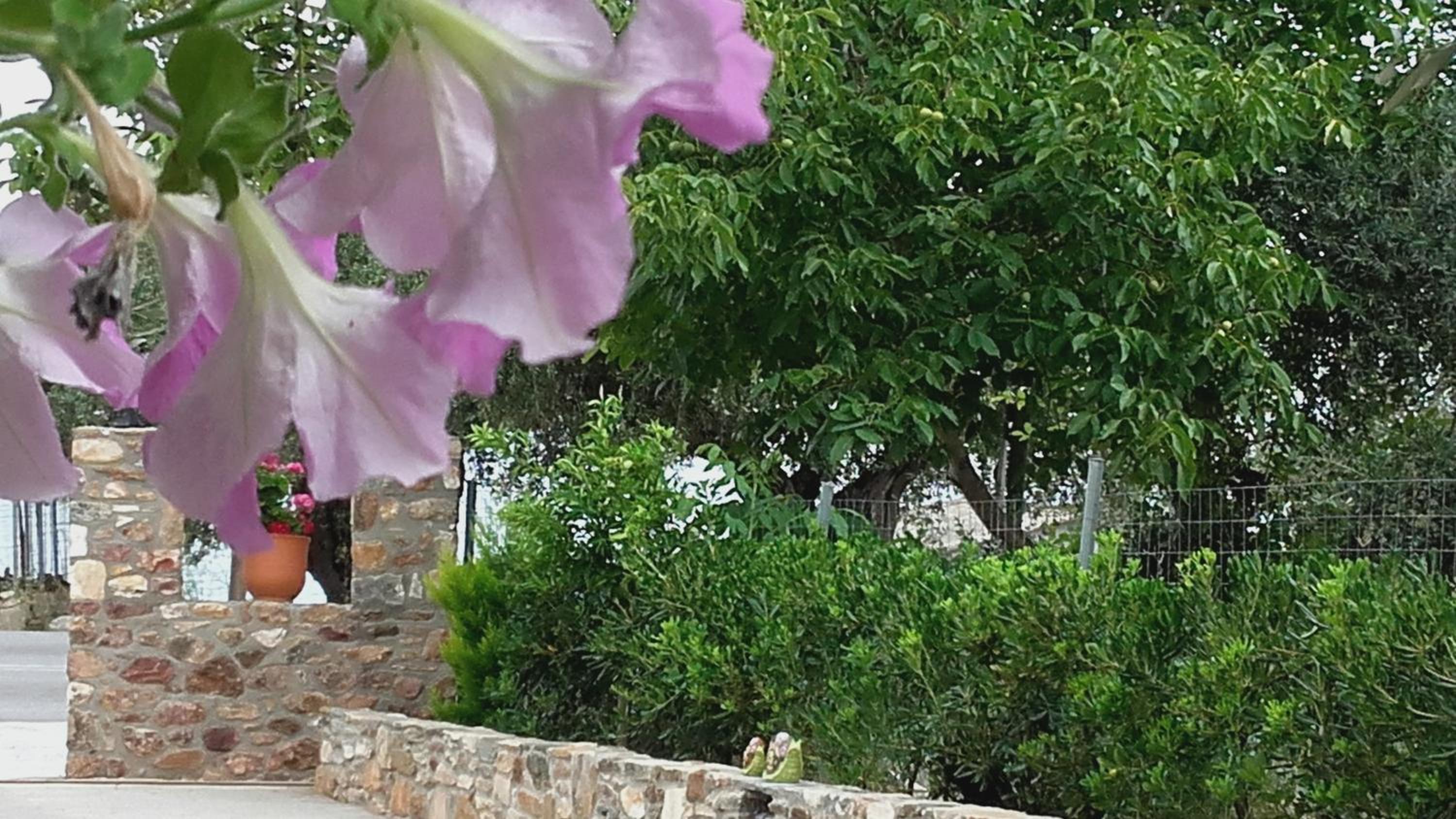 Studios Elianthos