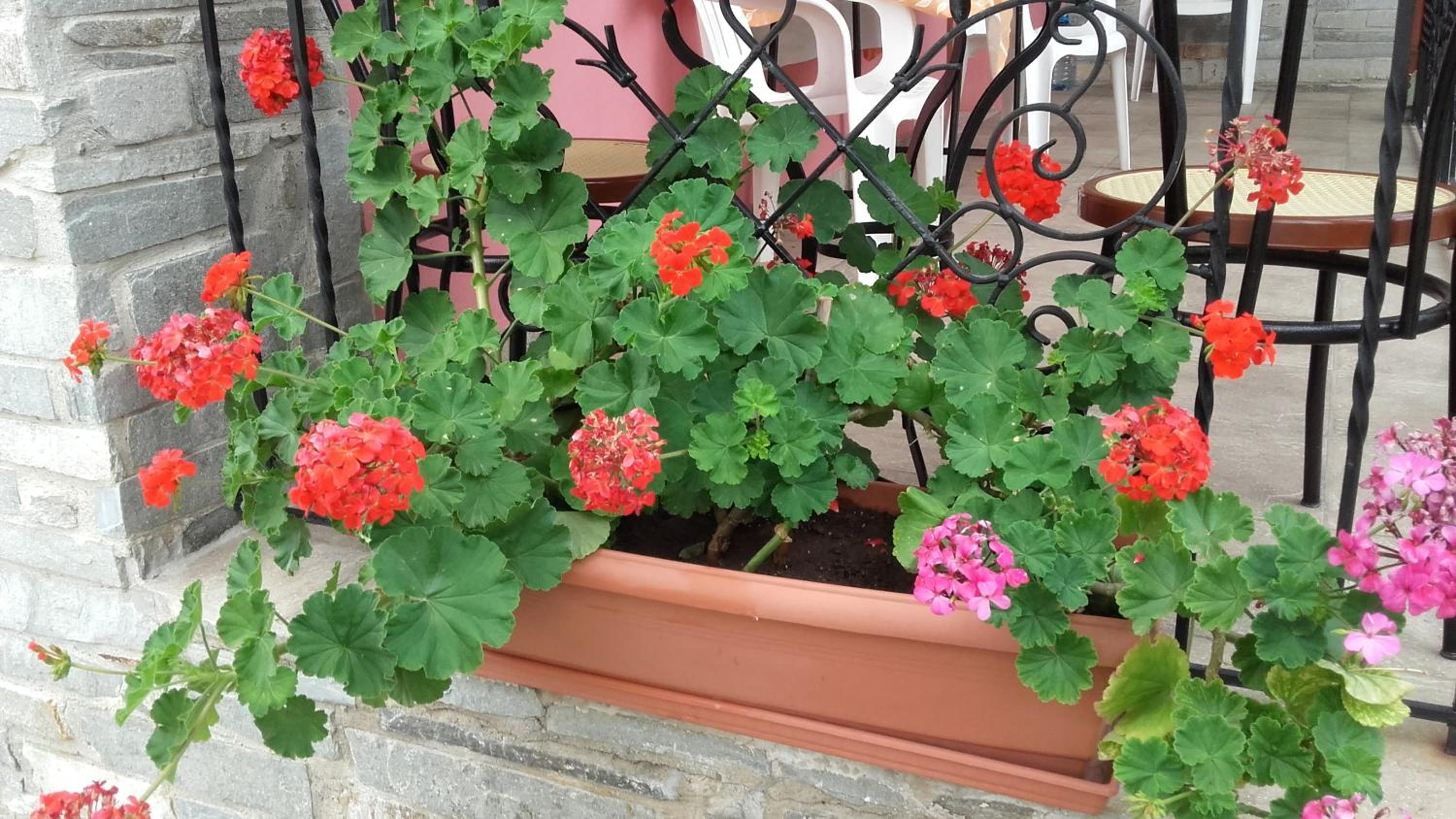 Studios Elianthos