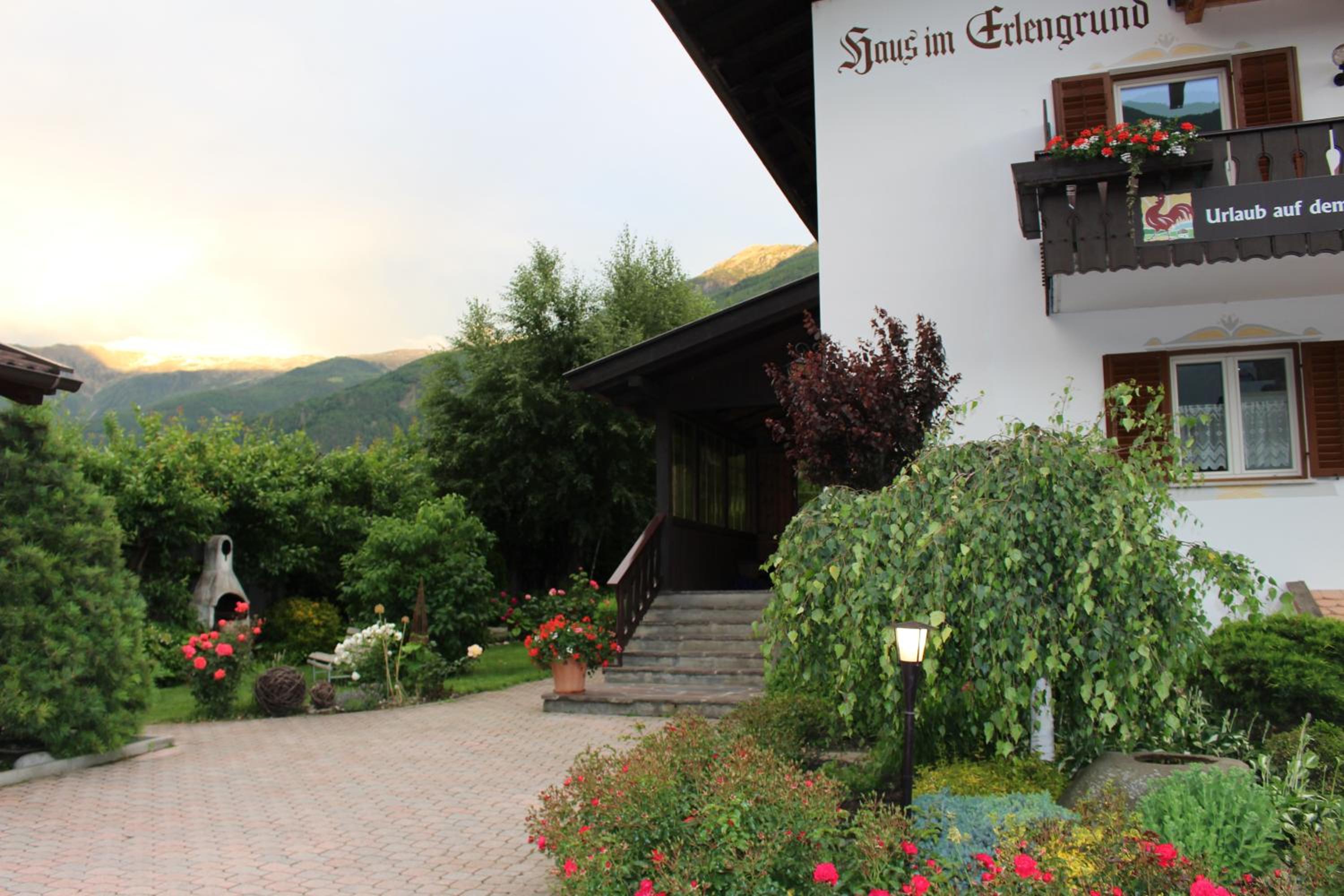 Photo 23