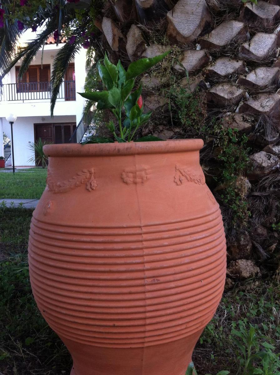 Photo 46