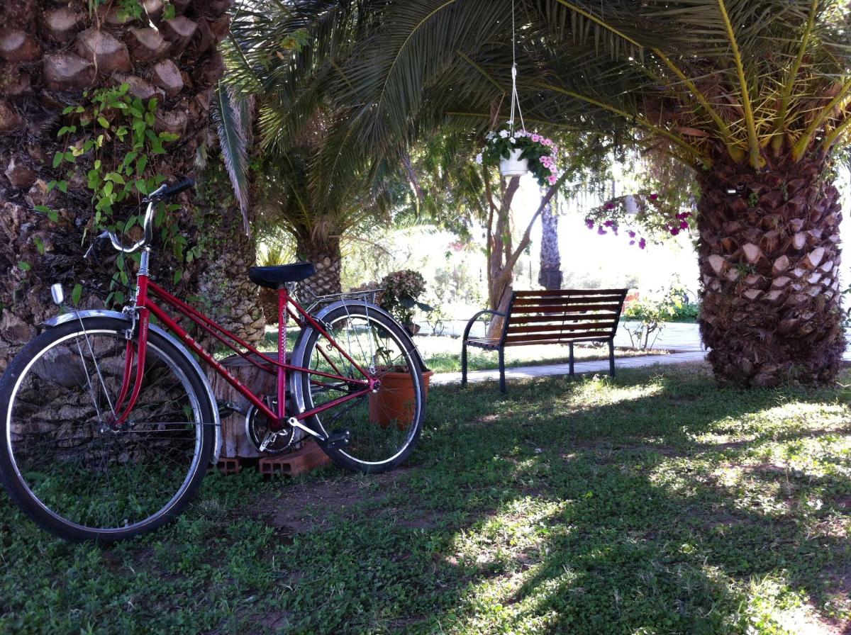 Photo 21