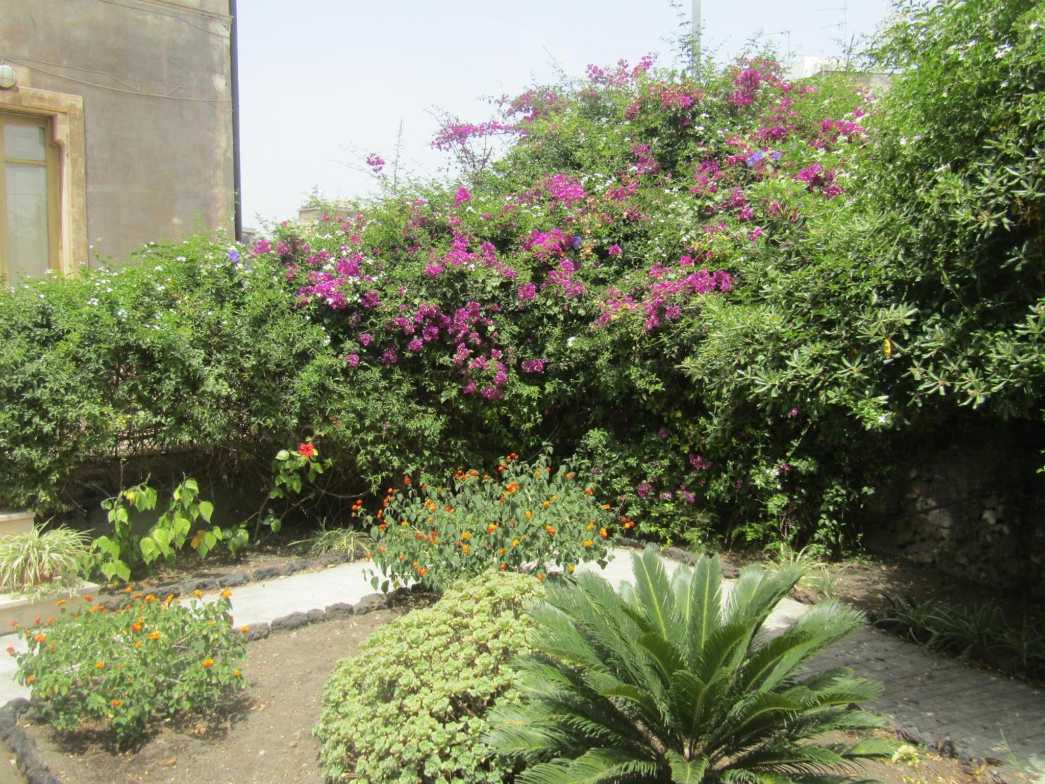 Photo 27