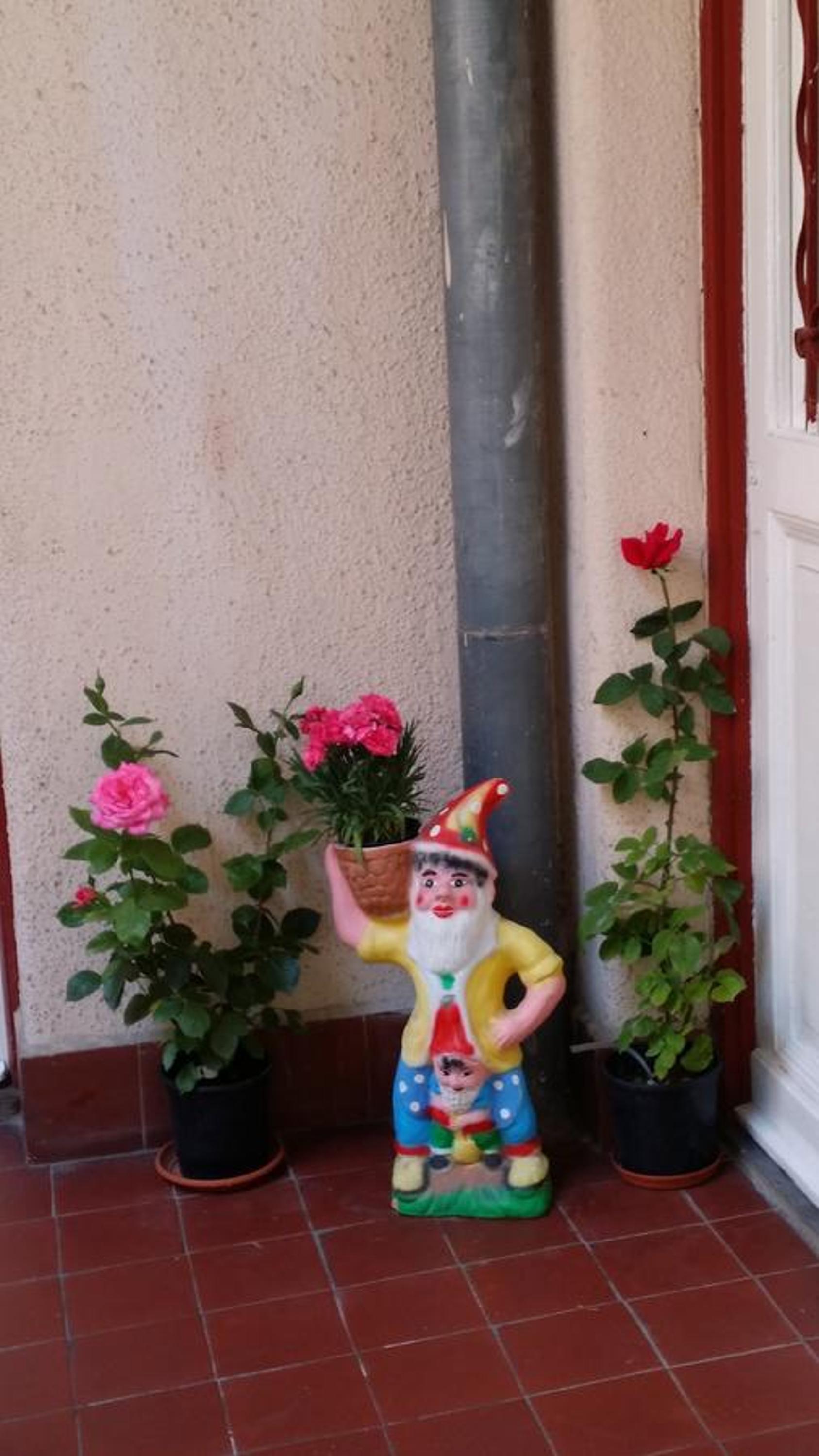 Photo 31
