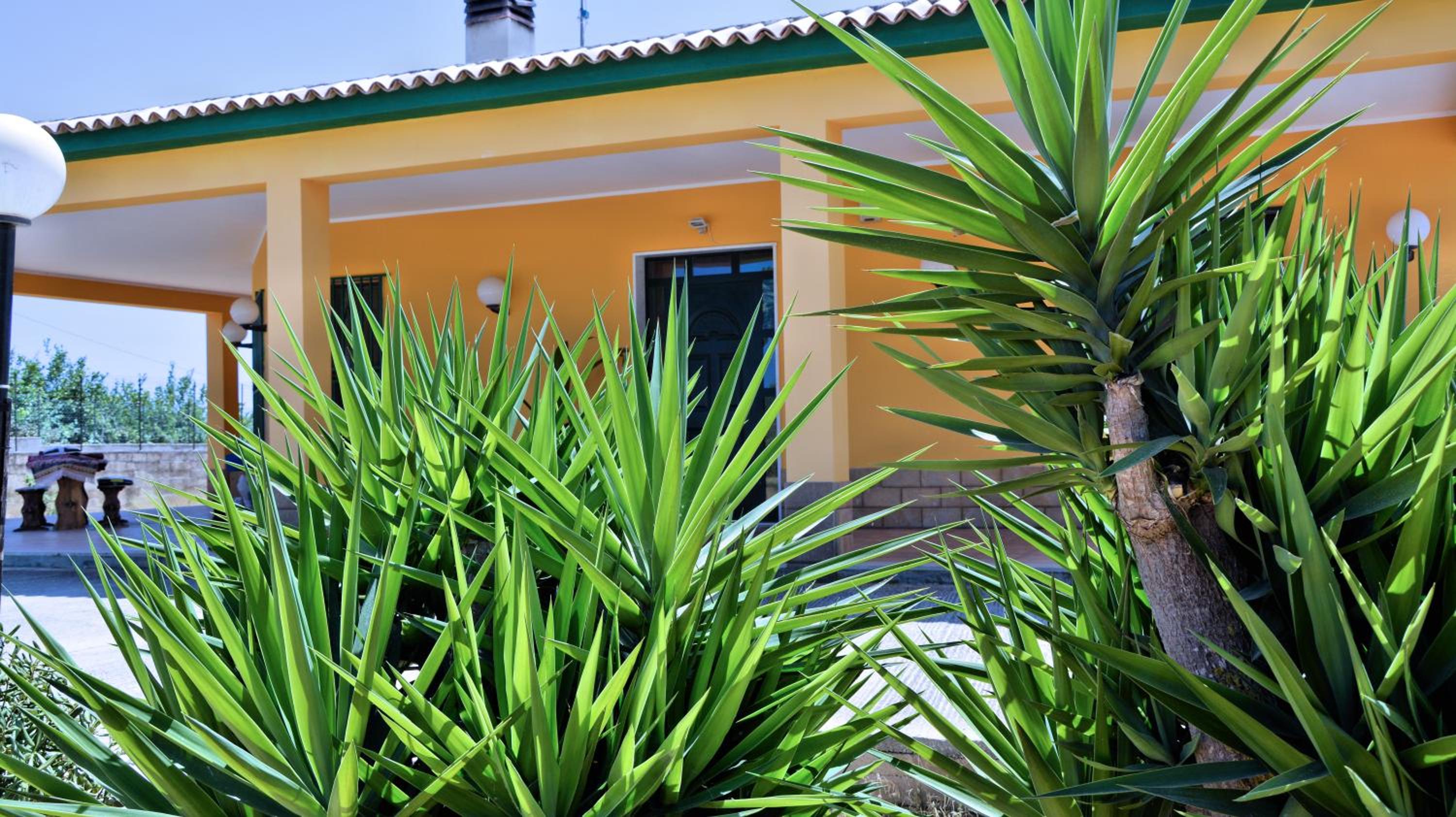 Palma Guest House photo 1