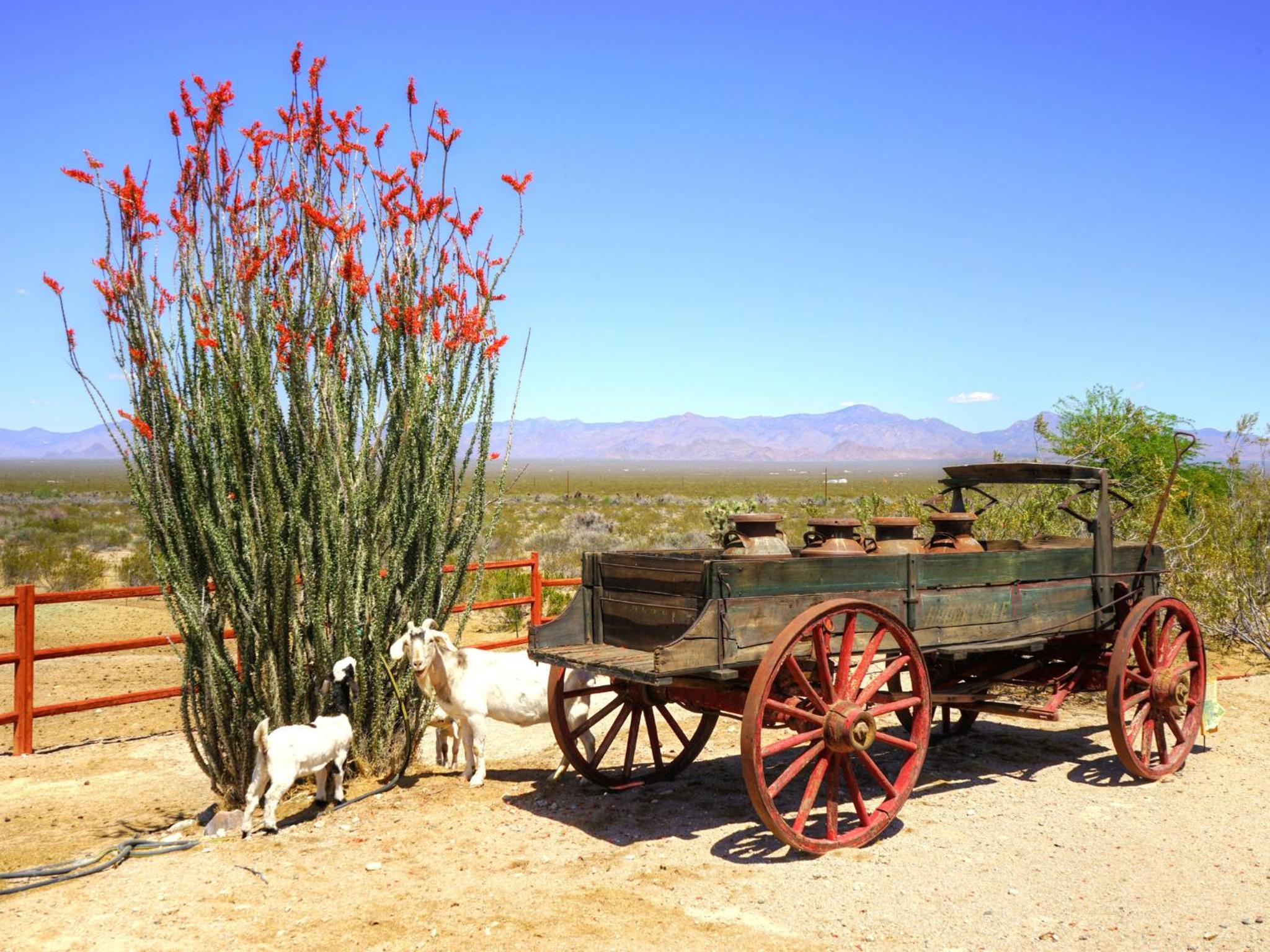 Stagecoach Trails Guest Ranch