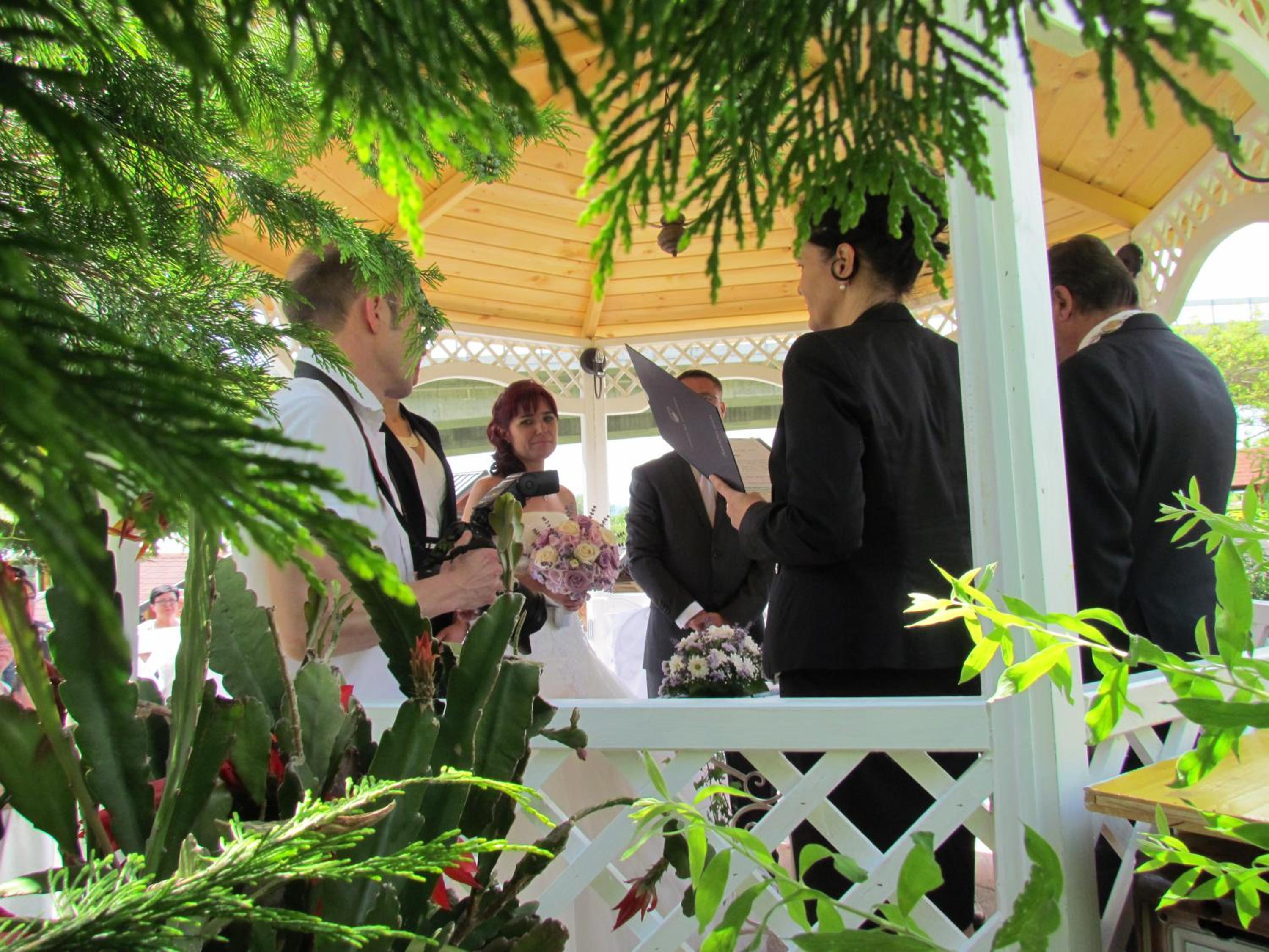Photo 67