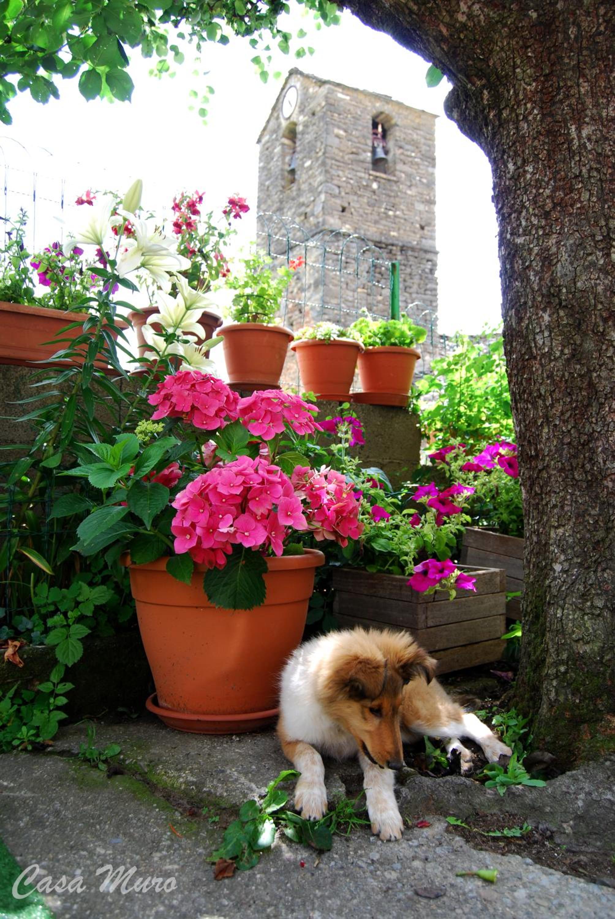 Photo 28
