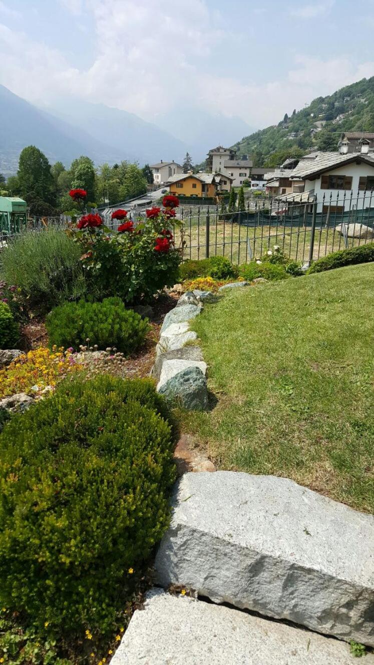 Photo 21