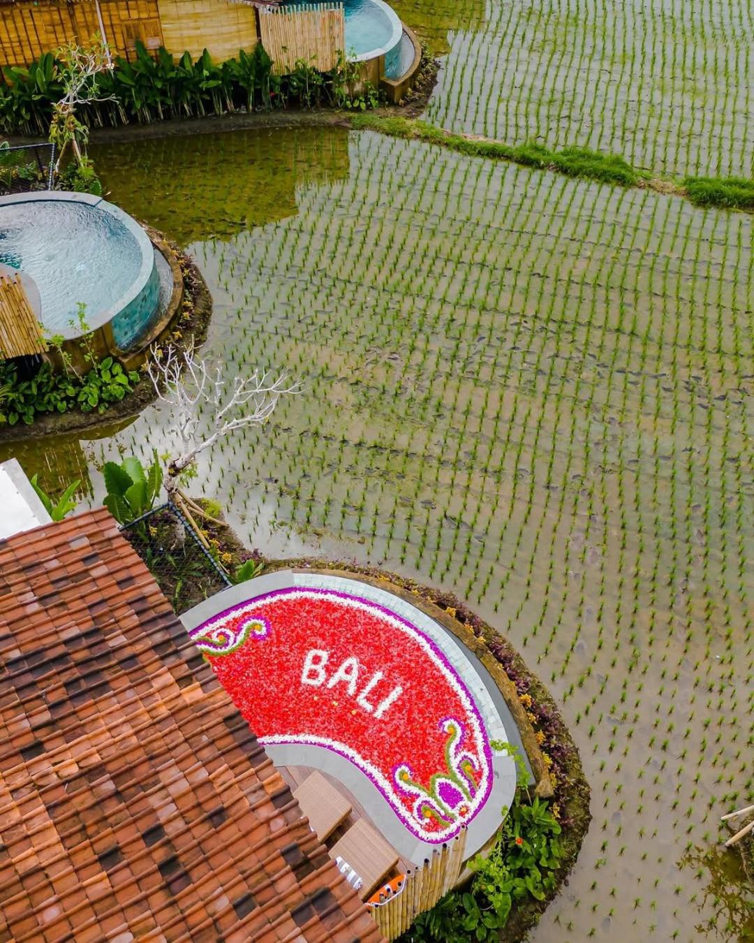 DITUJU Ubud by GenuineHost