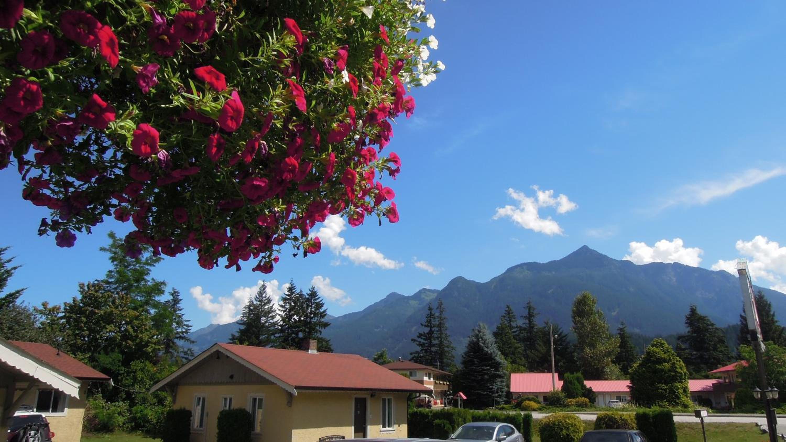 Richca Chalets Resort